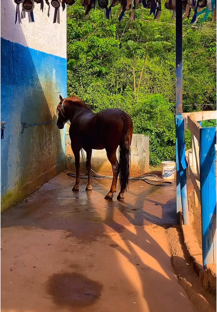 @Filipe Vieira