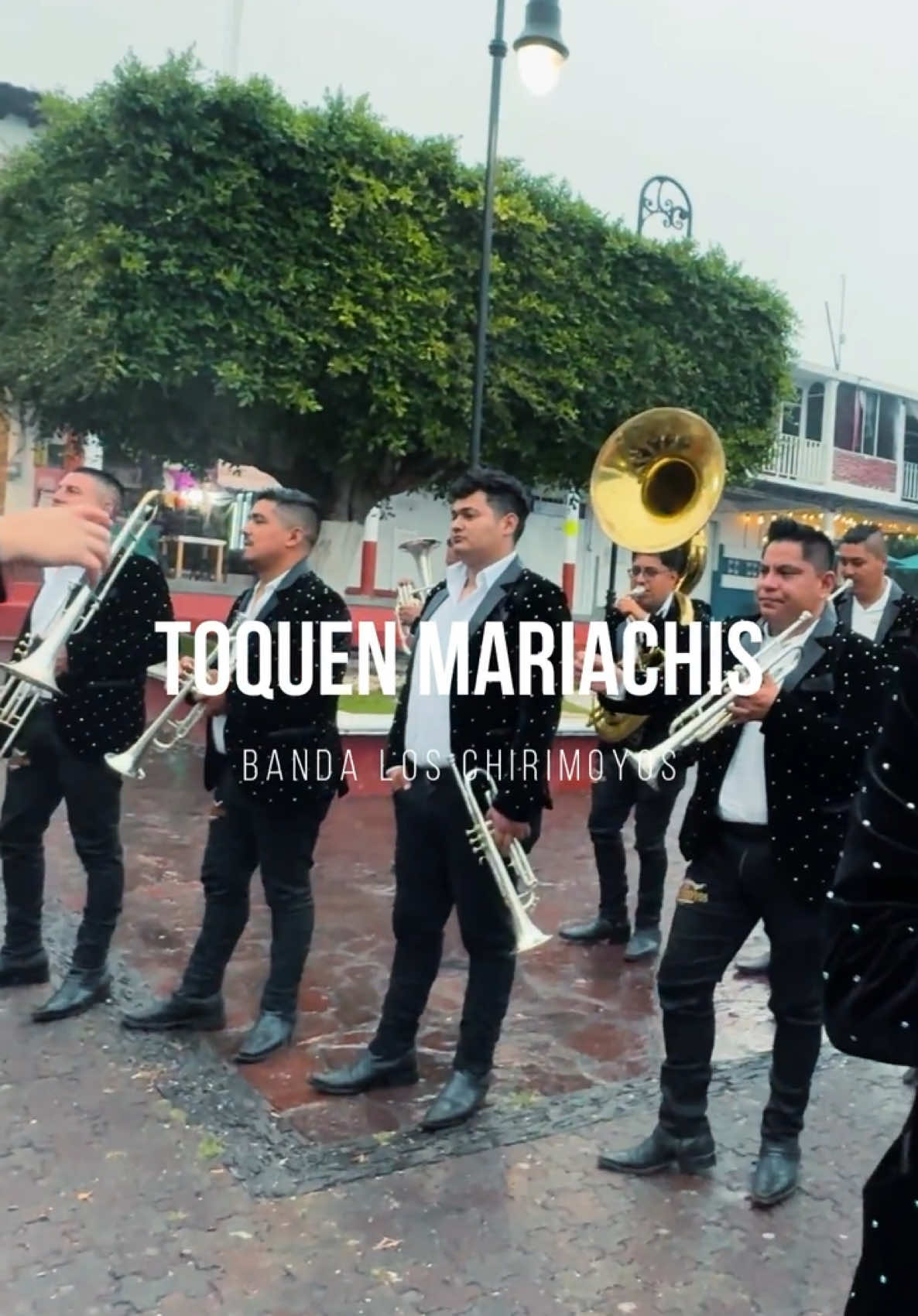@Los Gordillo Y Su BLCH