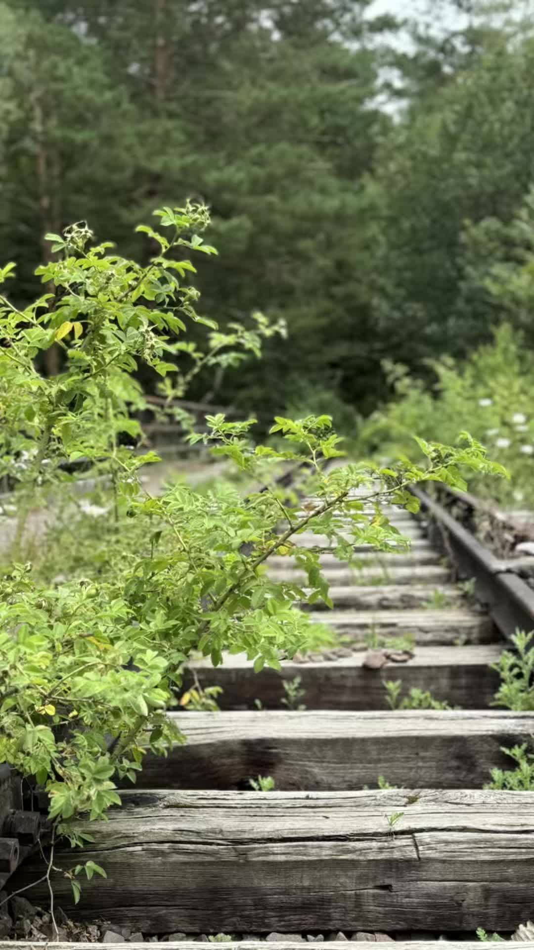 @Jōrg