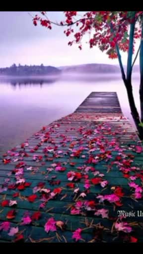 @🎧🎼$#𝑨𝑵1005🎼🎧