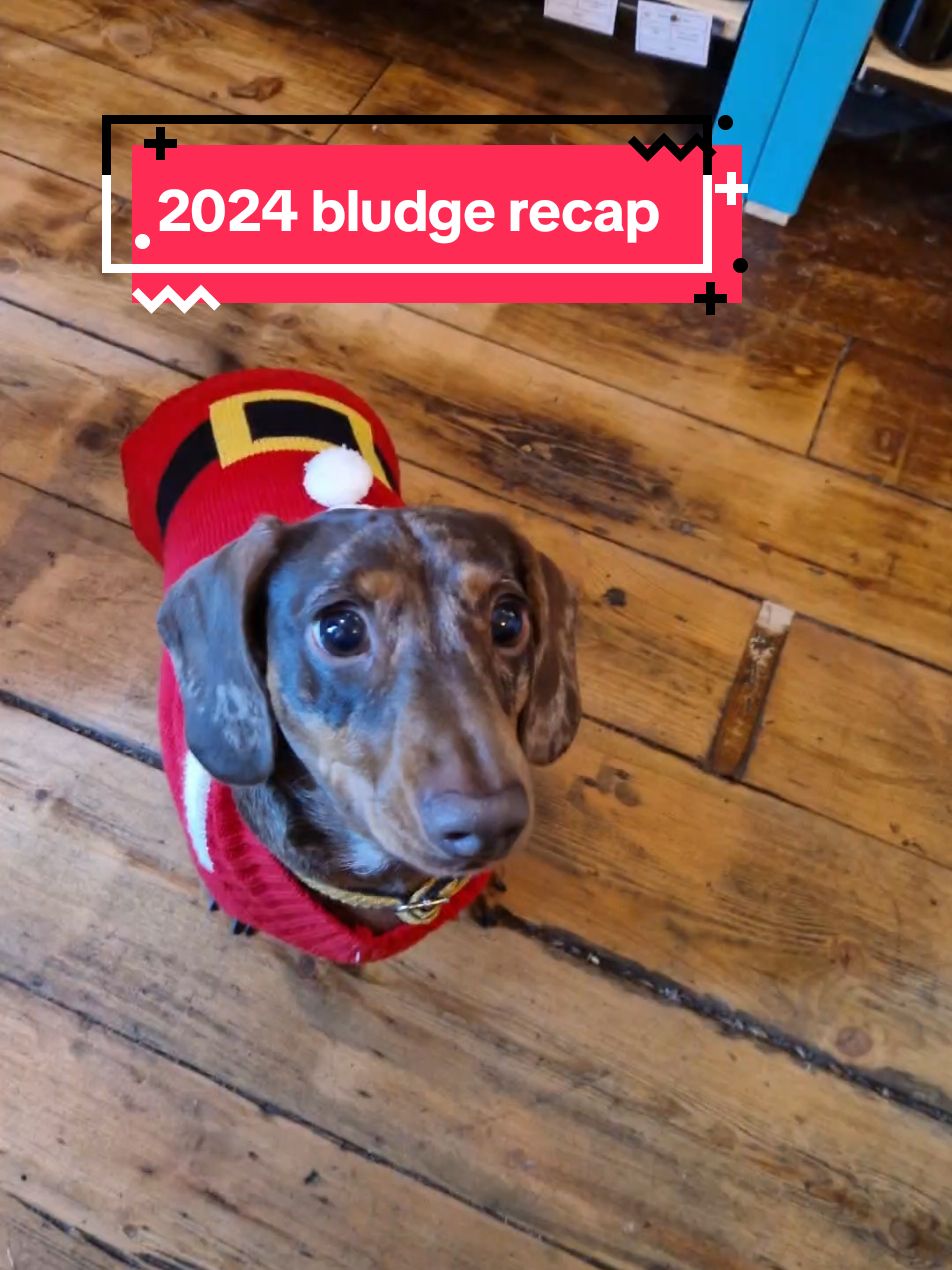 @Bludge