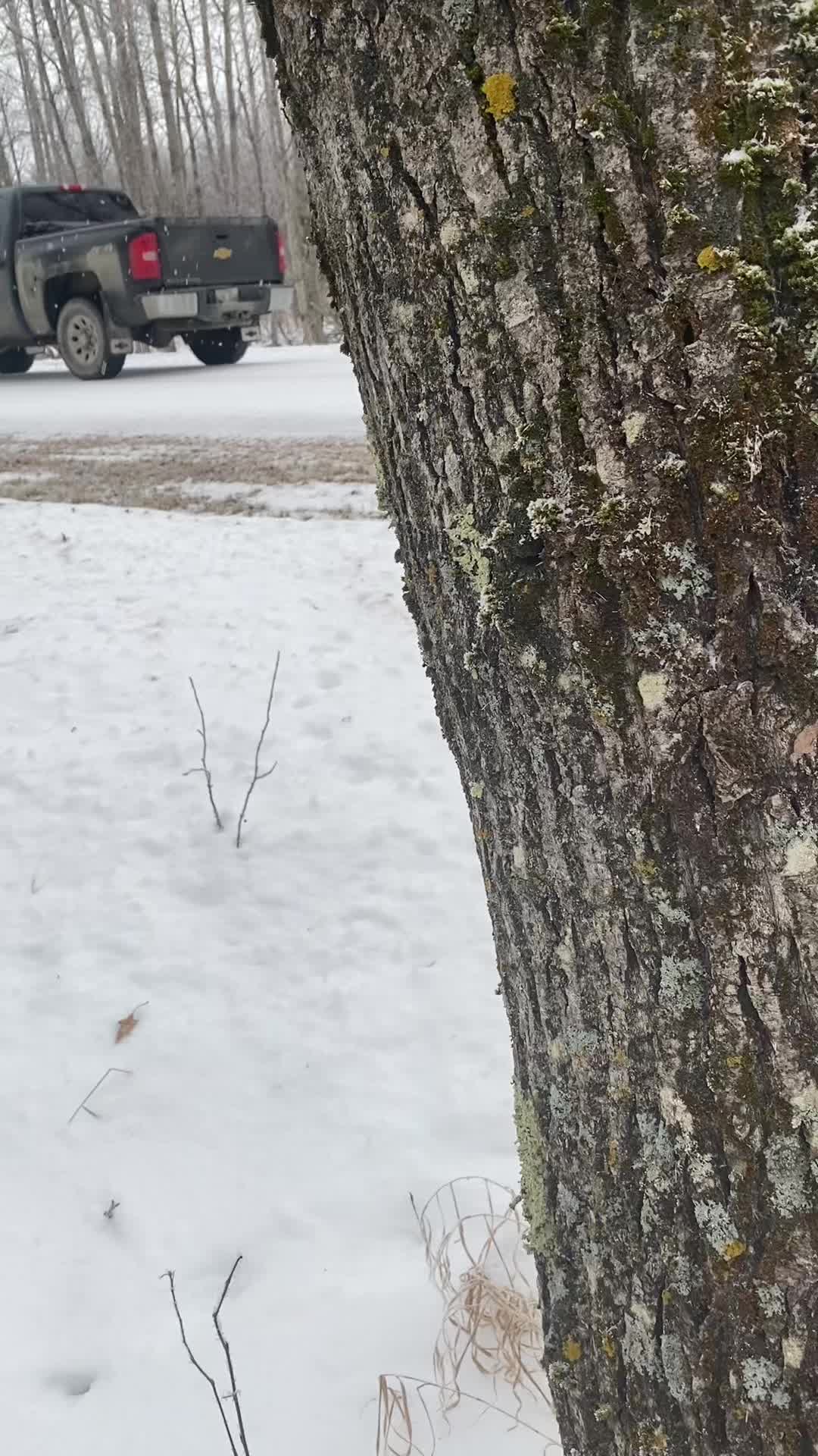 @Brendo_arms