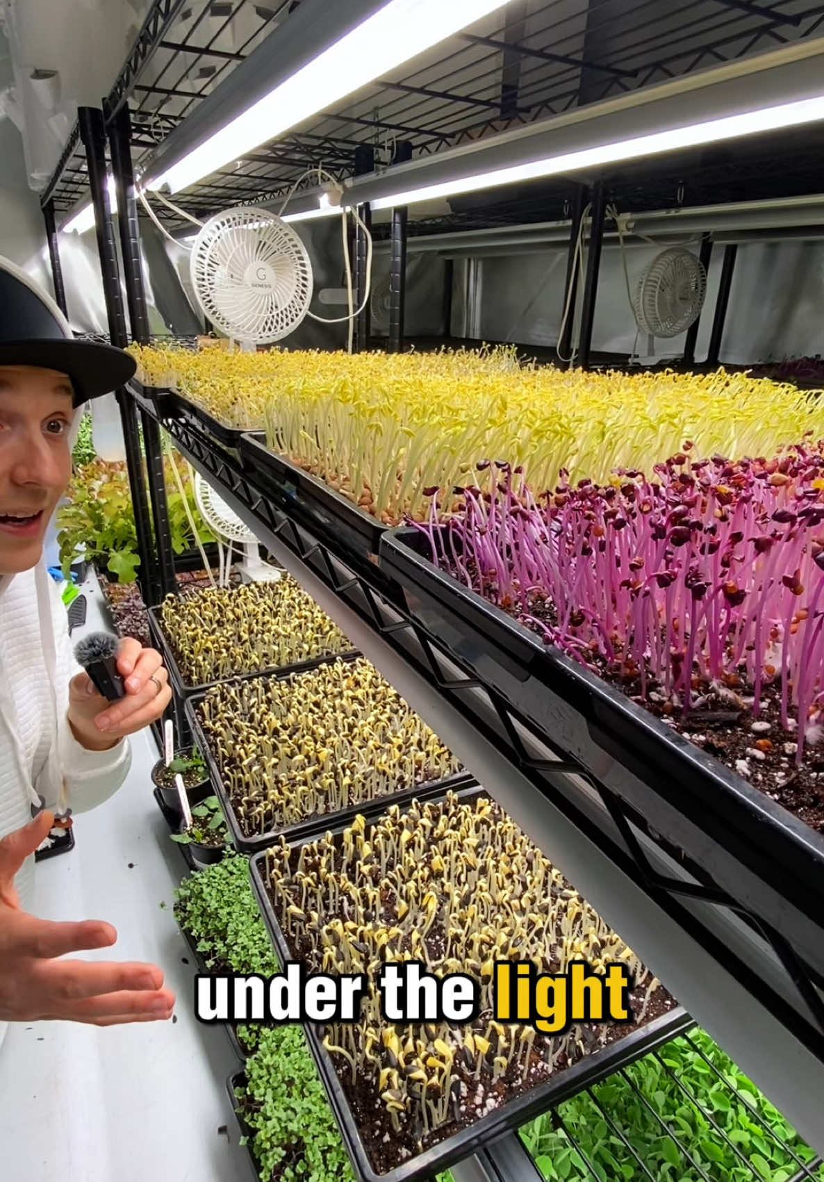 @Urban Agriculture w/ Mike