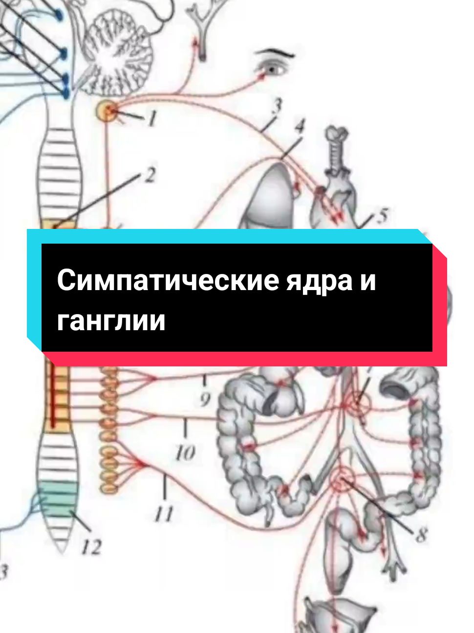 @DushaBolnicy💫