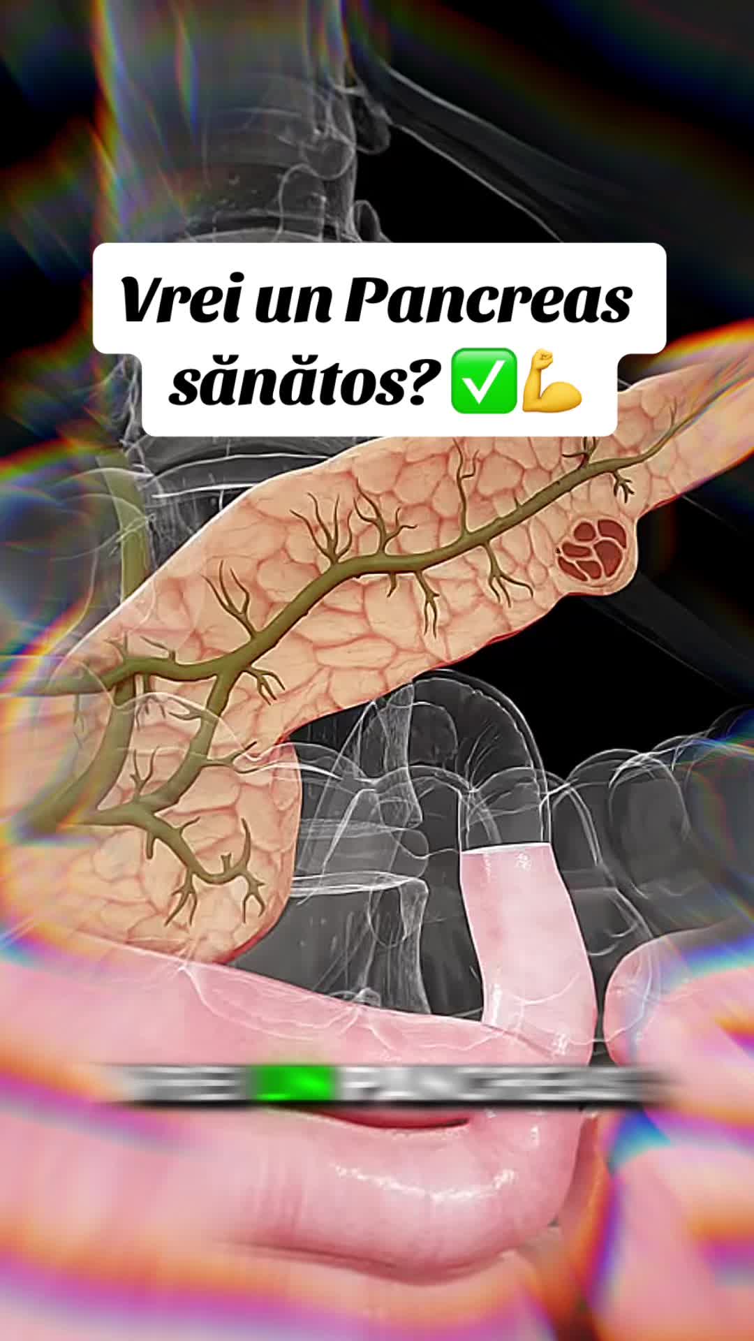 @Altfeel