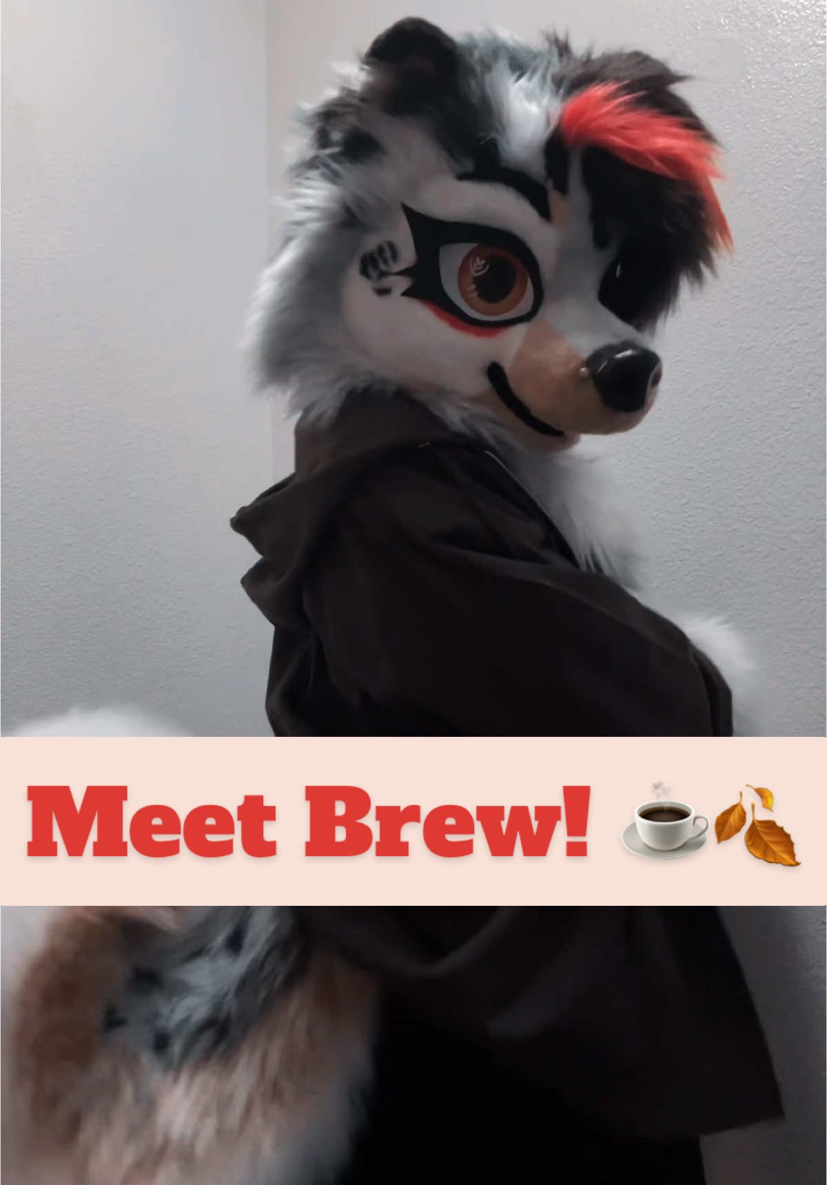 @☕︎ 𝐑𝐨𝐦𝐚𝐧 🔜 Furlandia