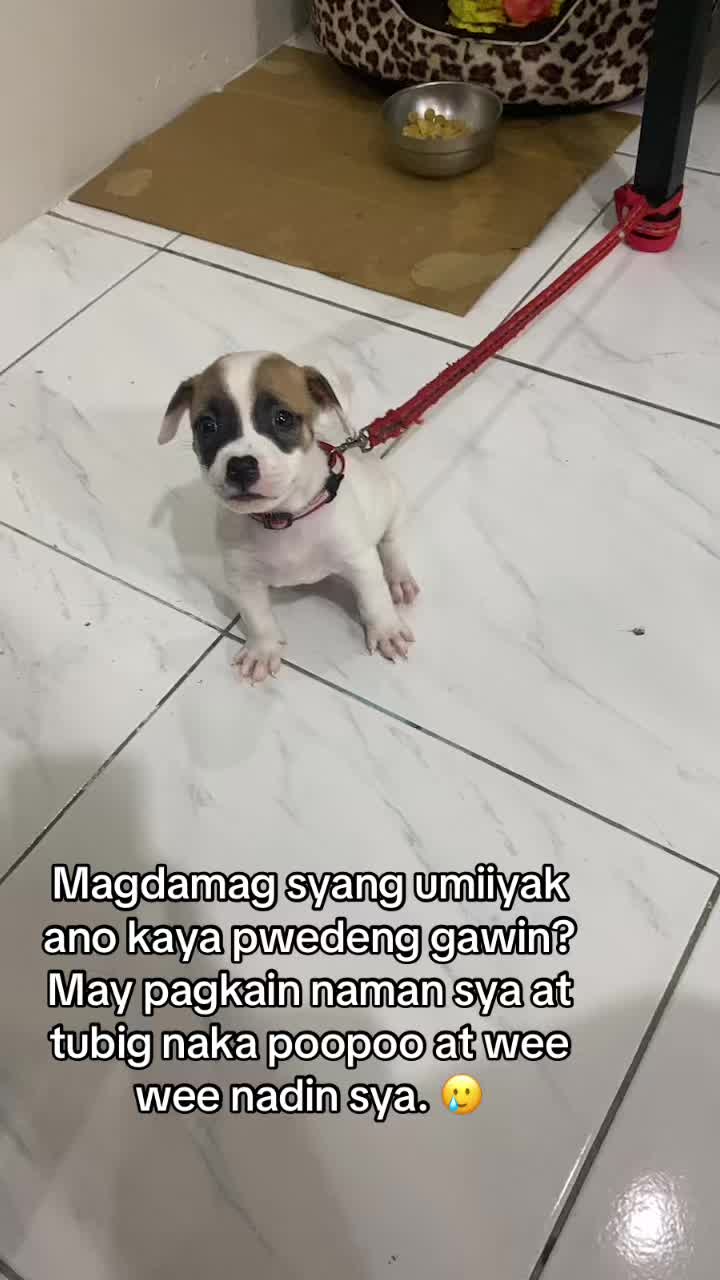 @Khulet Mo