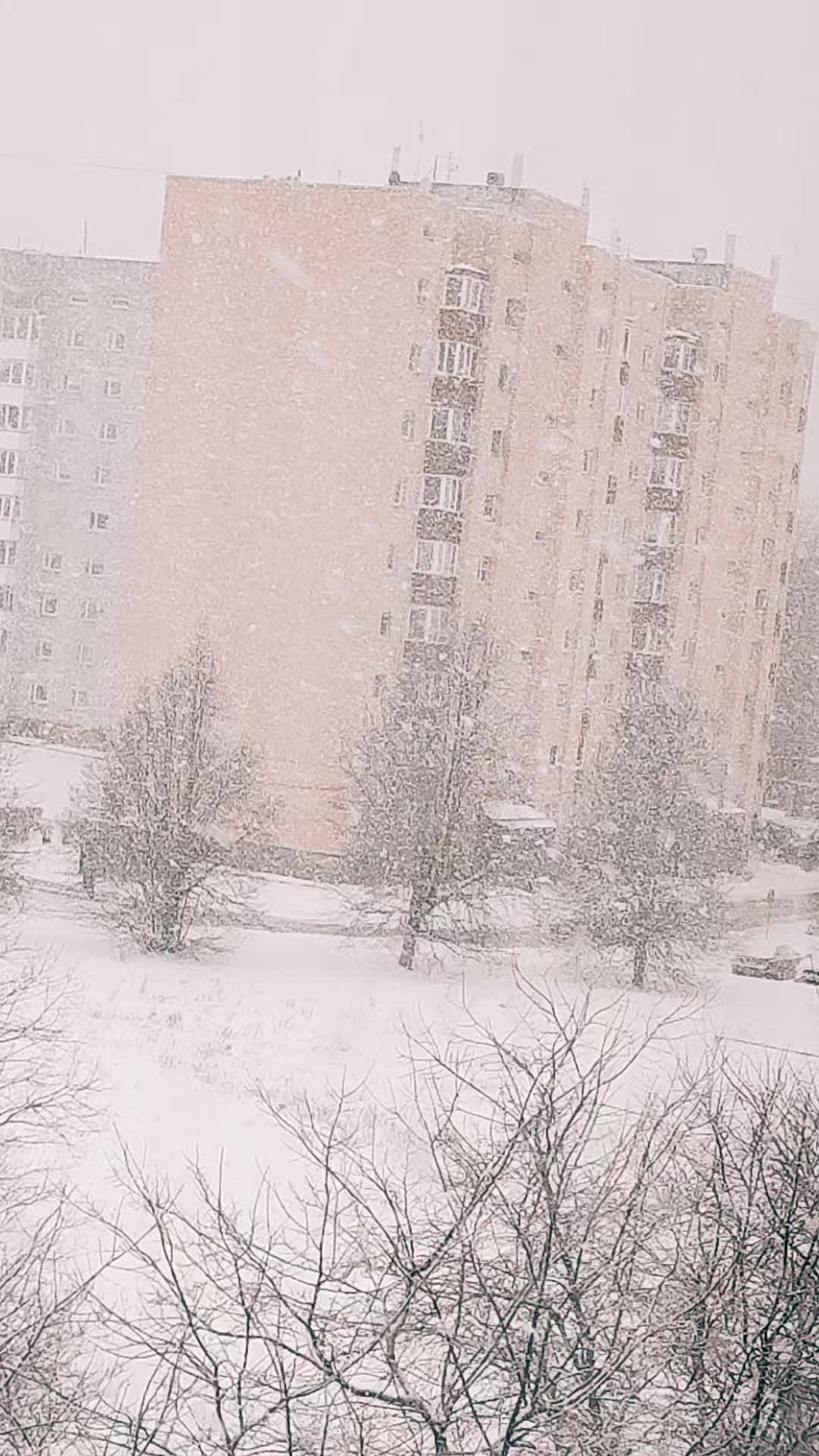 @🇪🇪JULIA🇷🇺☑️