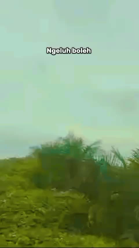 @Hwiacehtimur