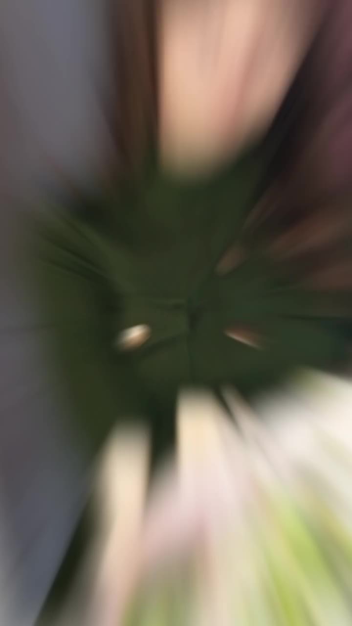 @julia