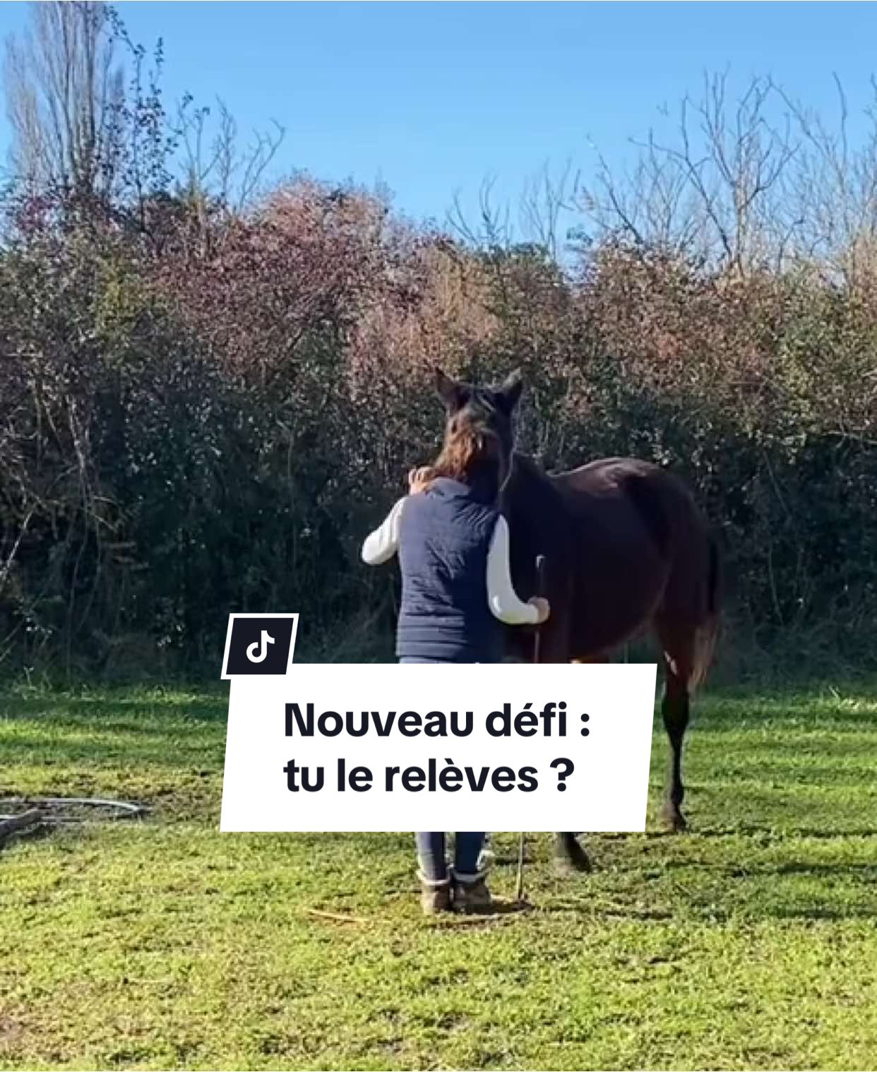 @Horsewoman Trip