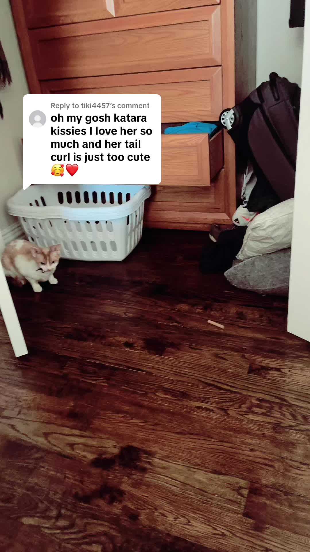 @Clairbbear