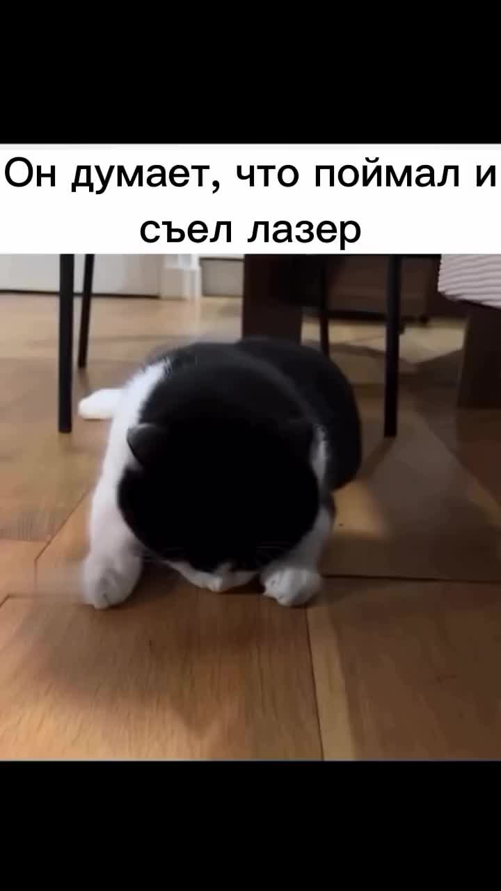 @Лариса