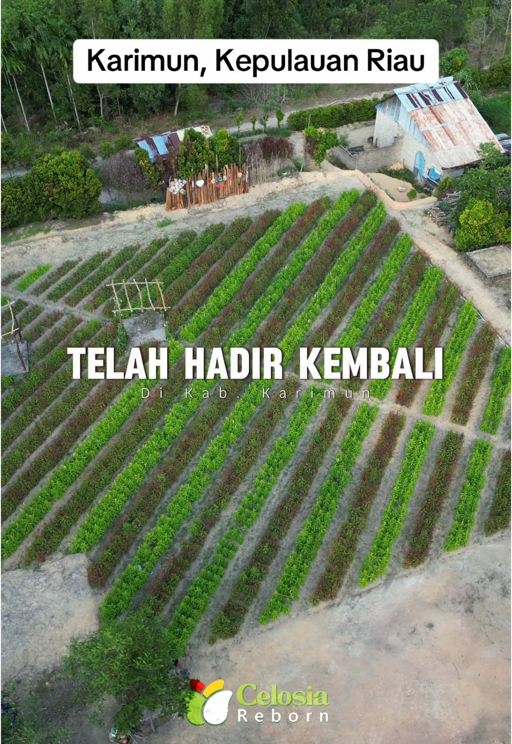 @Ini Karimun