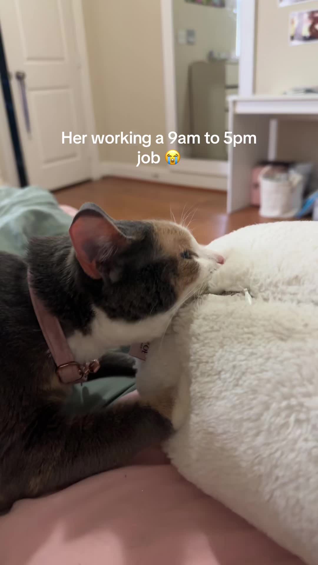 @Sabrina ✝️💕