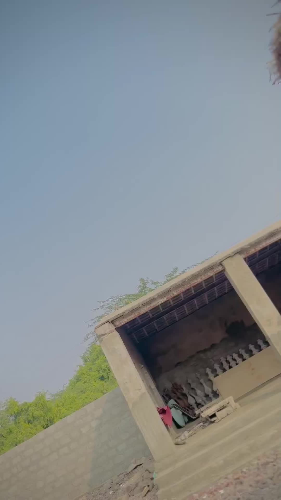 @𝙎𝙃𝙀𝙍𝙔 😎👊🏻