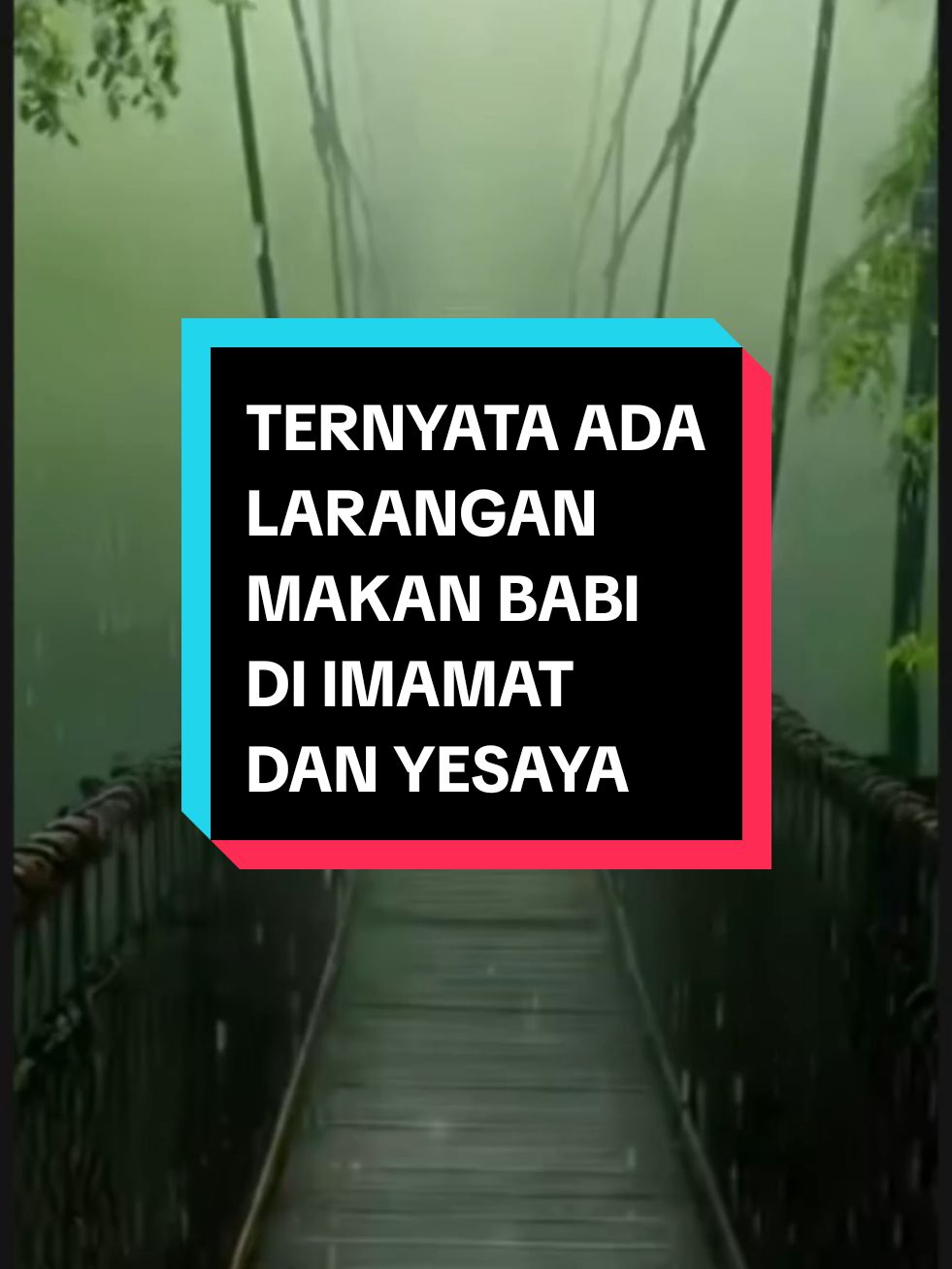 @mualafwp