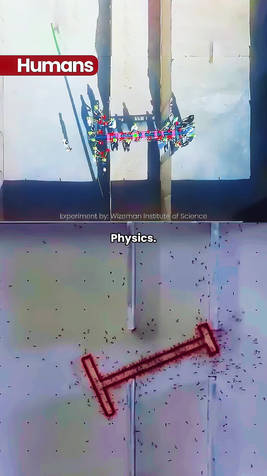 @physics.07