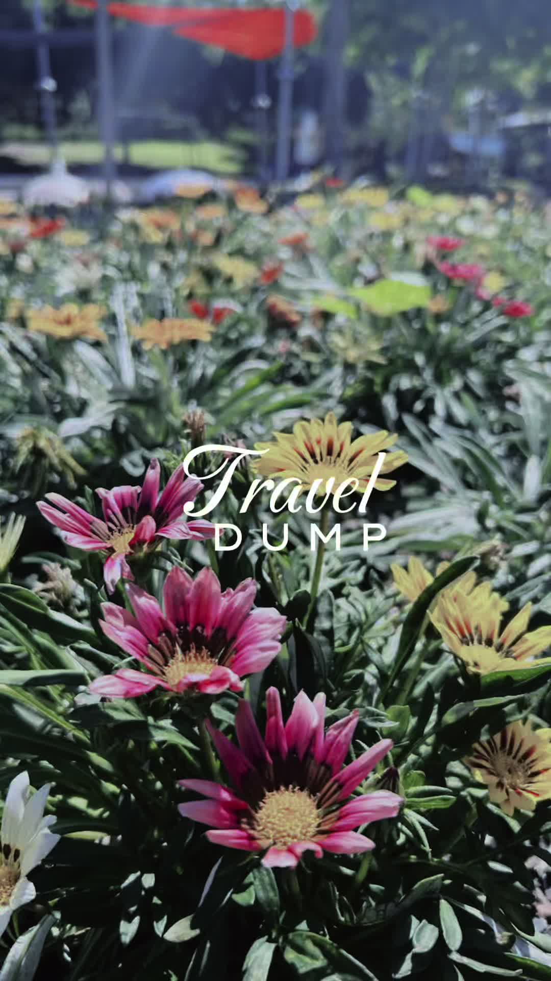 @MAINBXTCHE 🌻