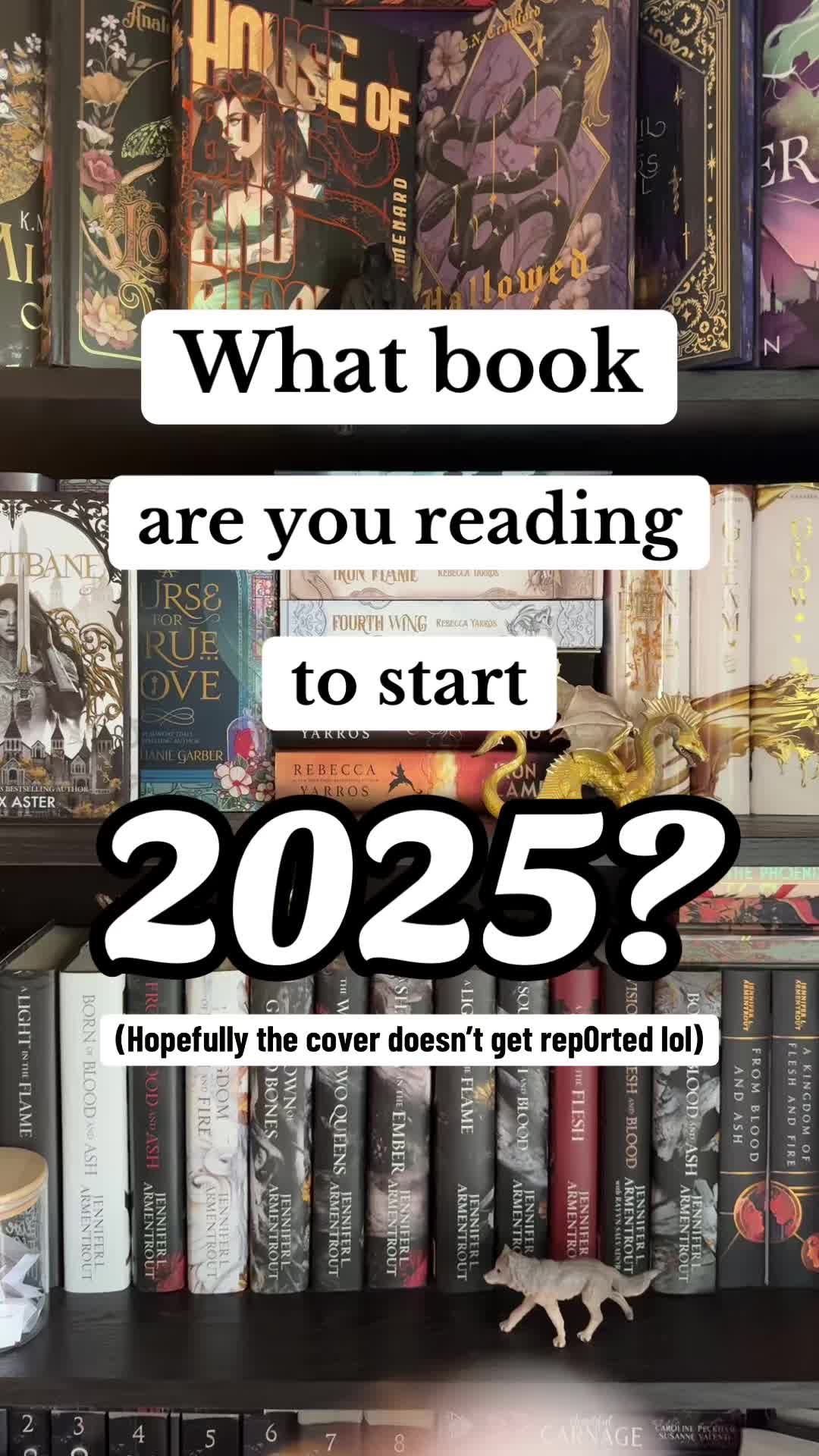 @Ryann 📚✨