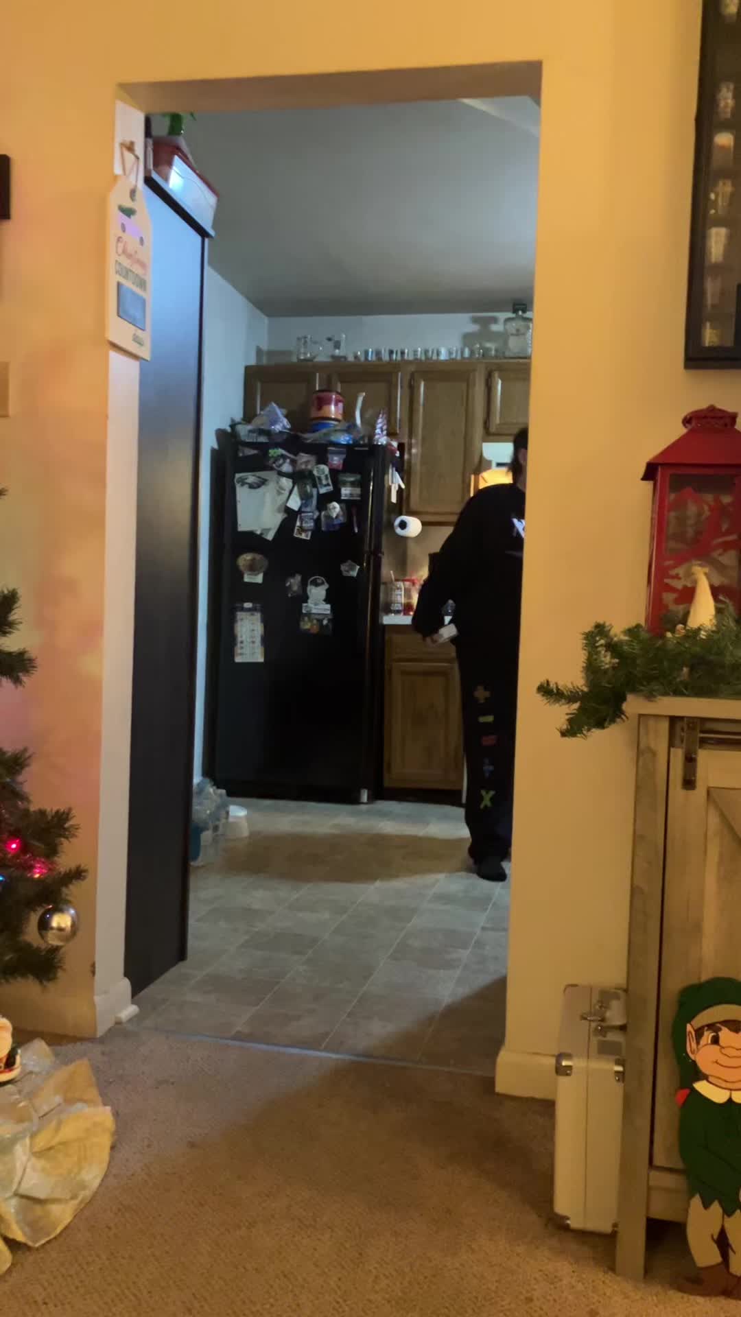 @Bump77