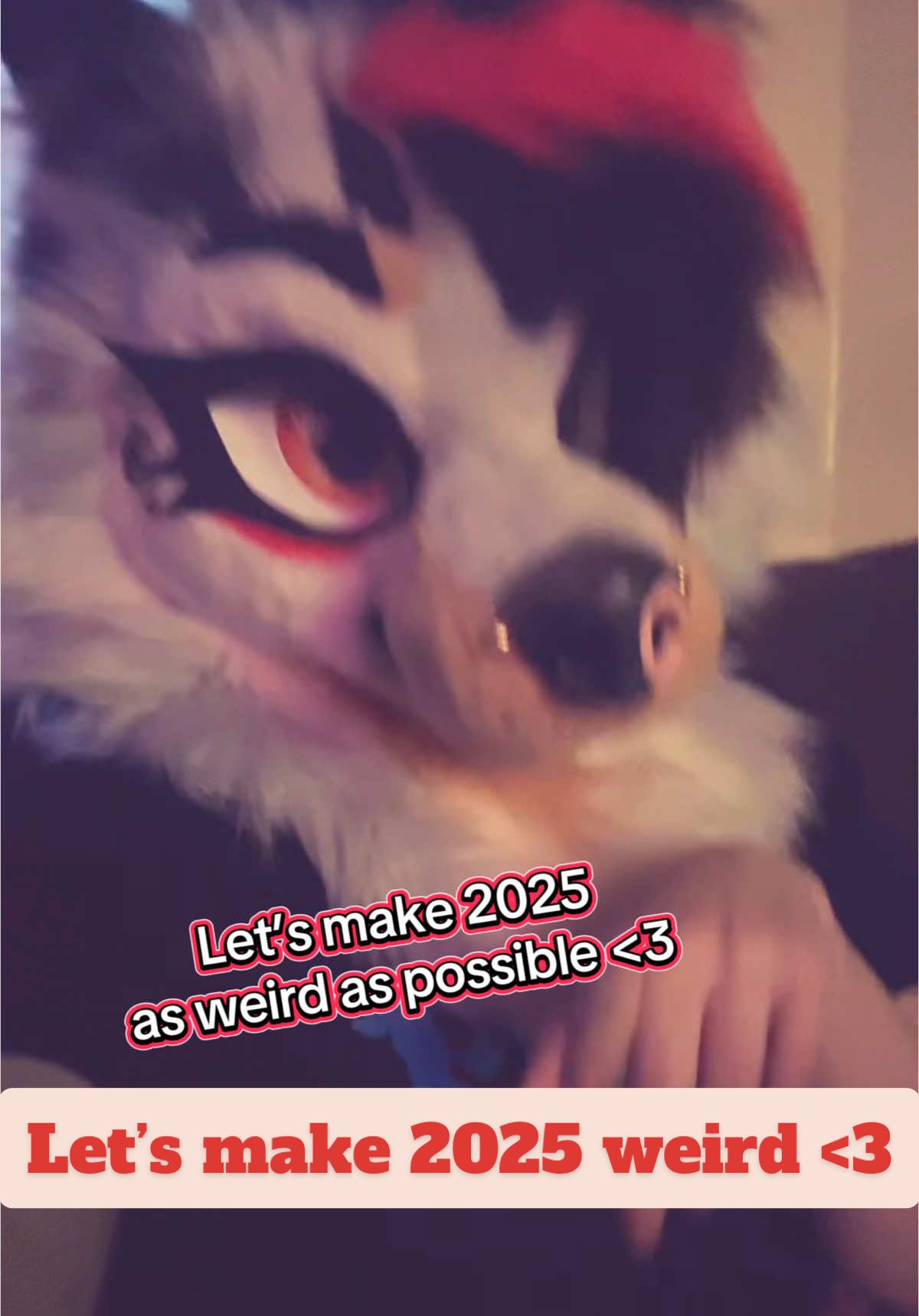 @☕︎ 𝐑𝐨𝐦𝐚𝐧 🔜 Furlandia