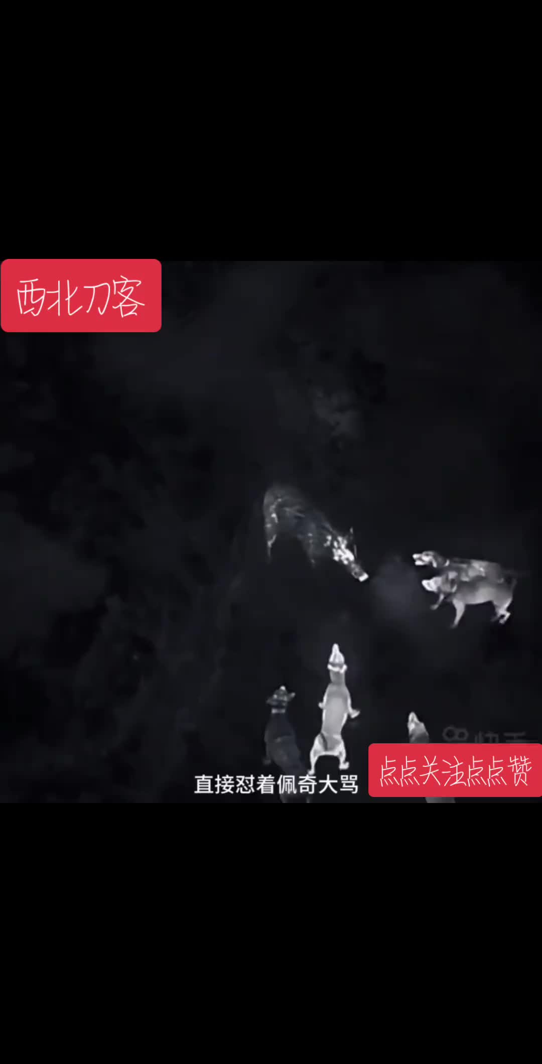 @水星小钻风
