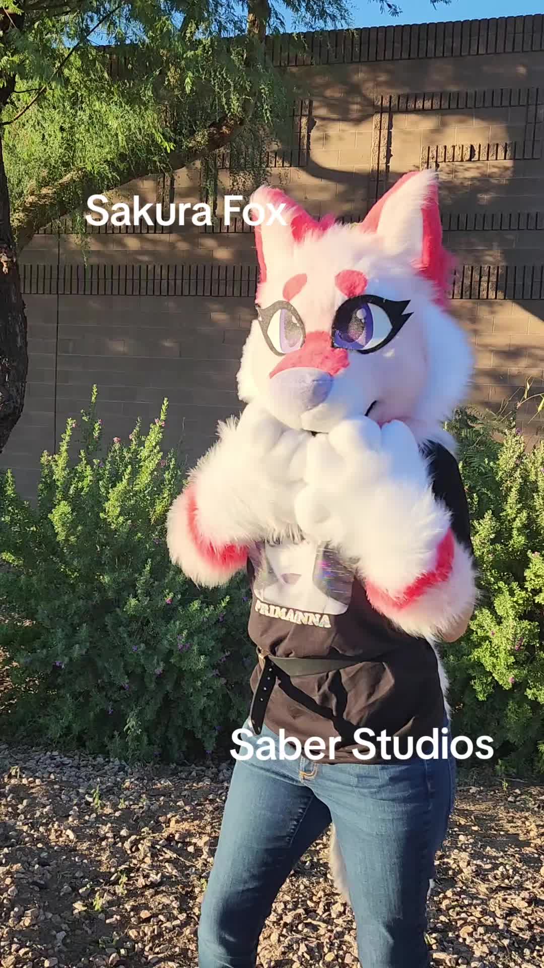 @Saber Studios