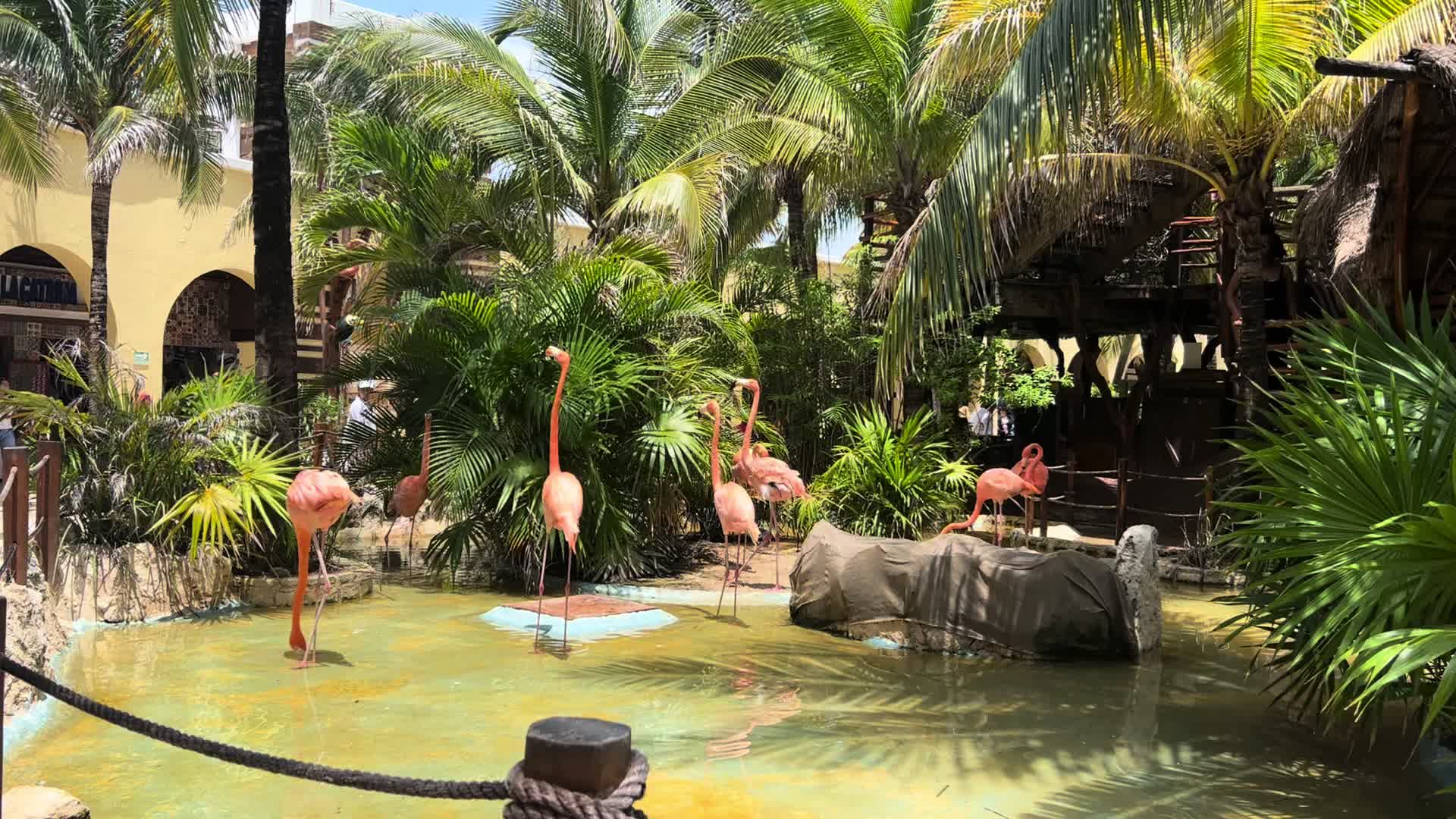 @Sirena Azul