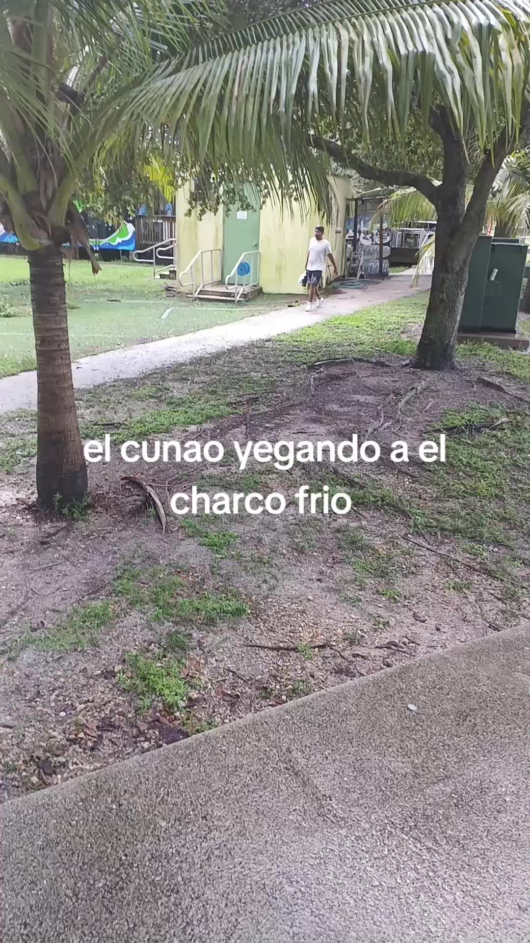 @la tranka