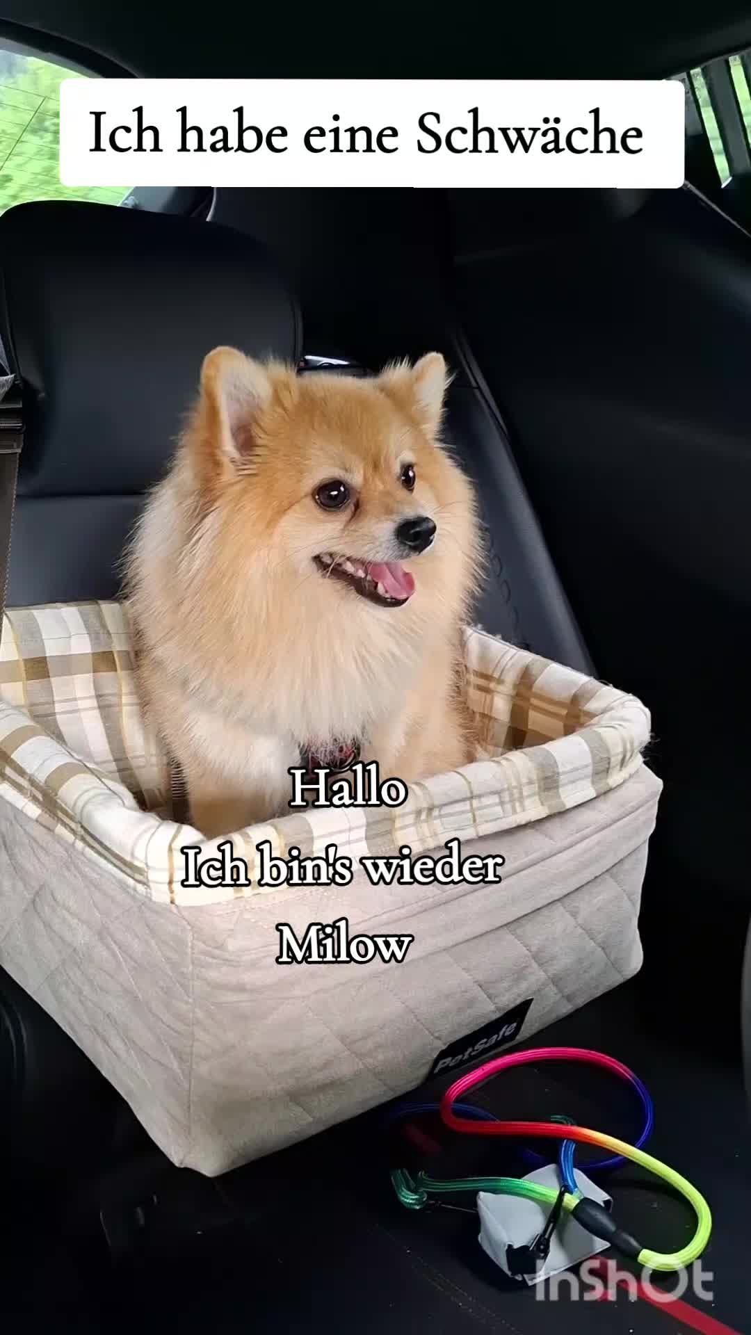 @Milow und Sammy