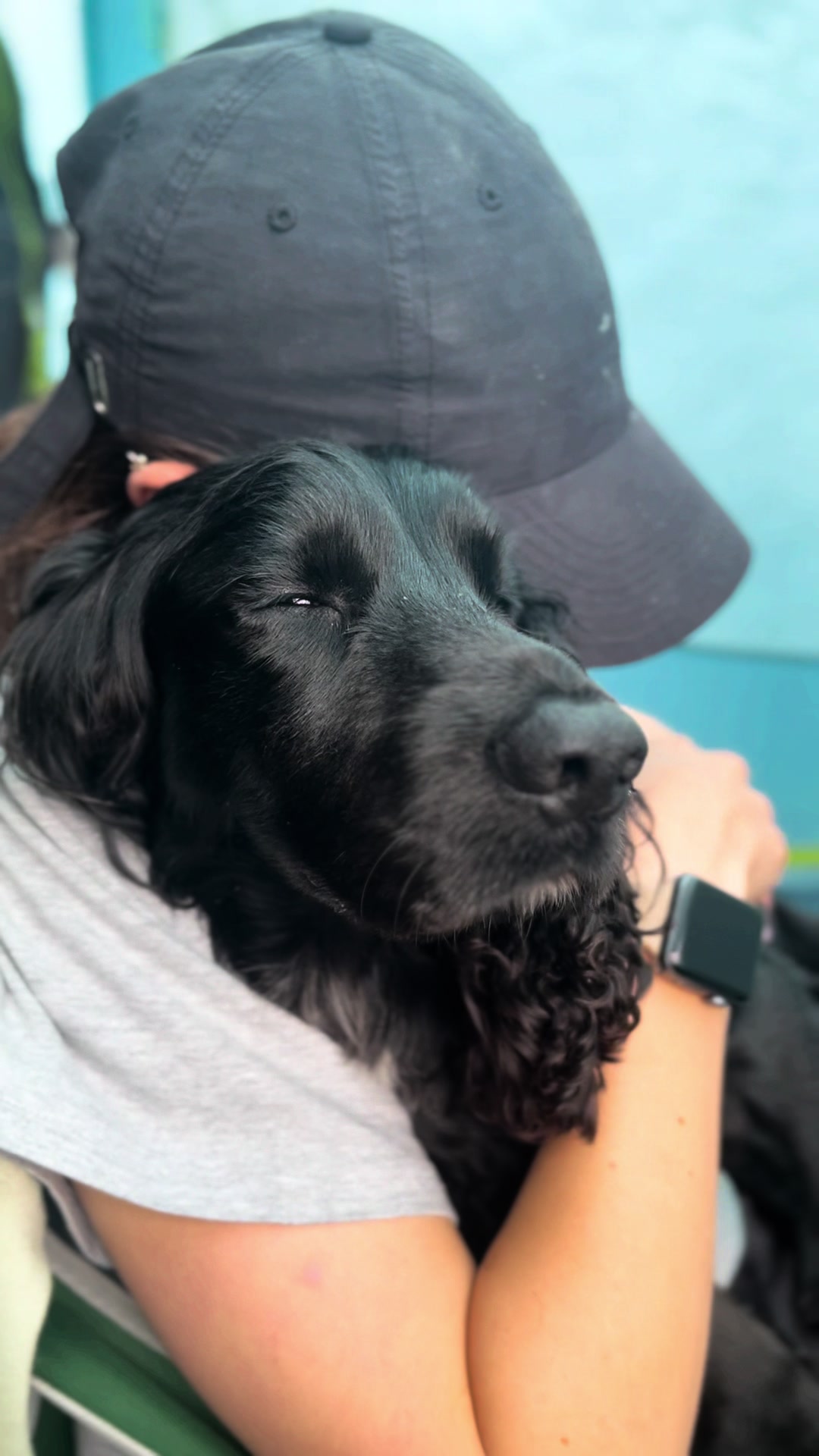 @Spaniel Explorers