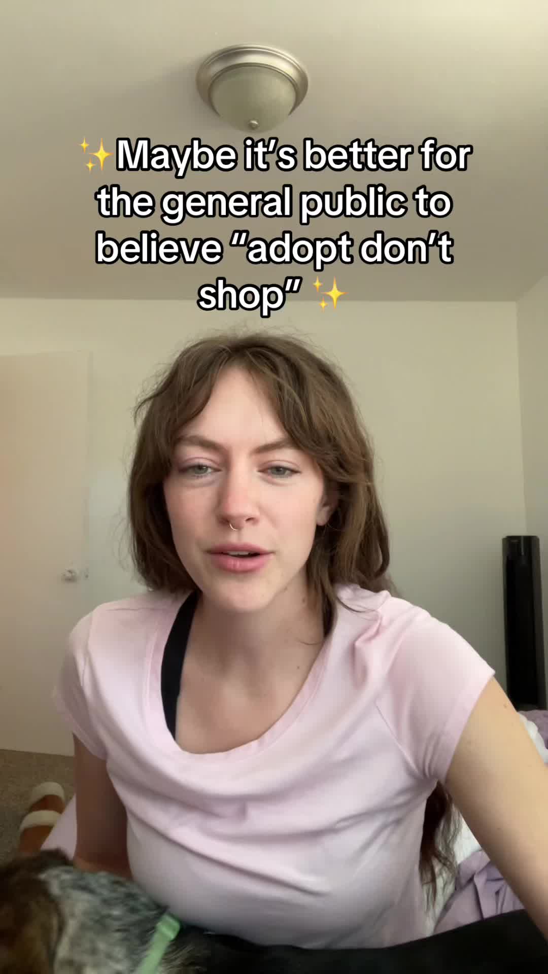 @momoandtea