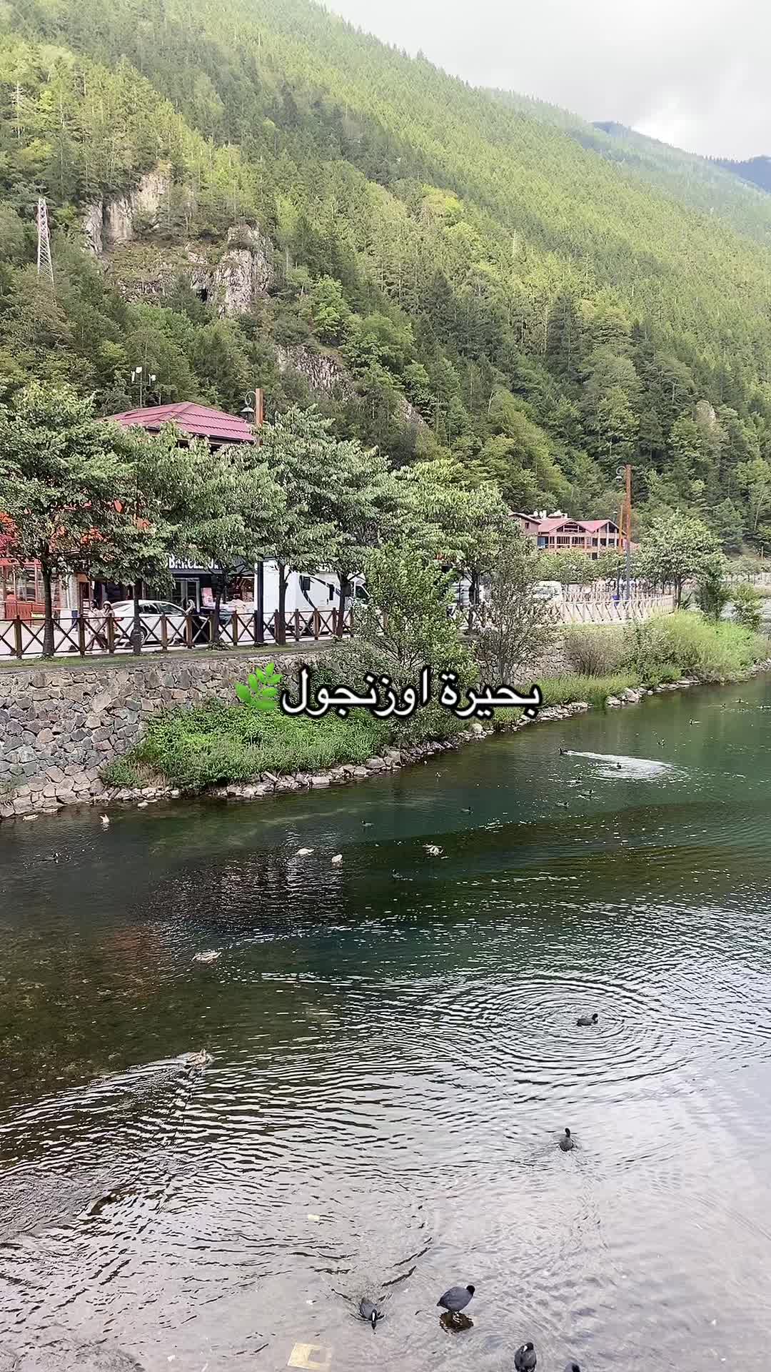 @زاء 🕊️