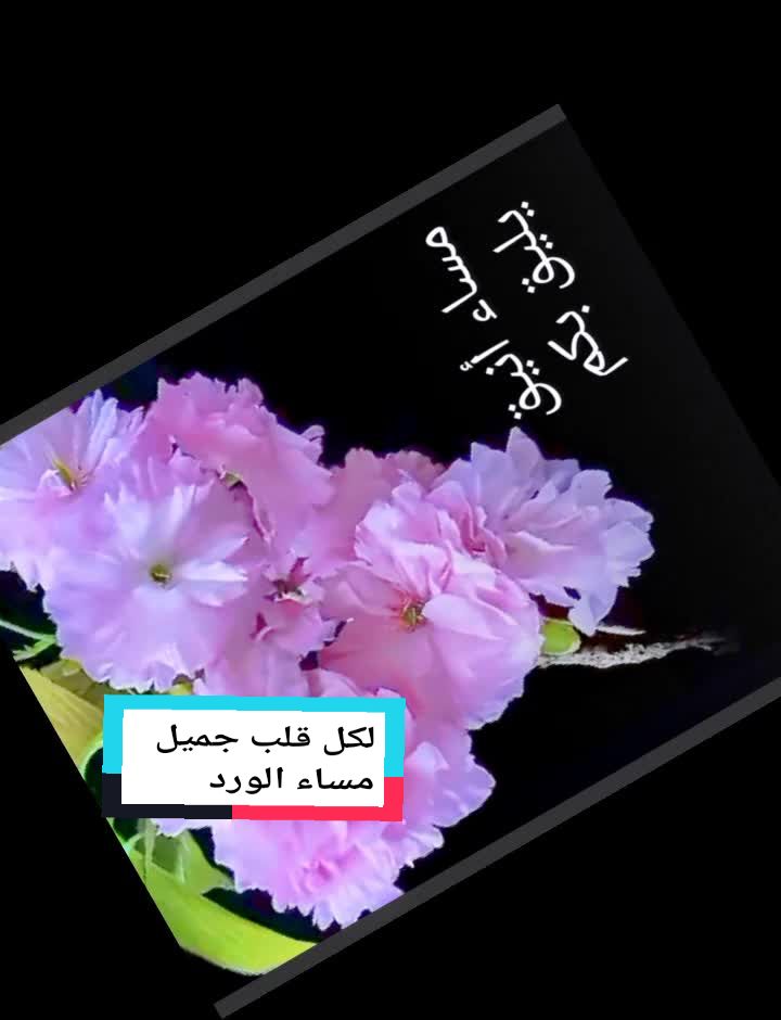 @meryflower001