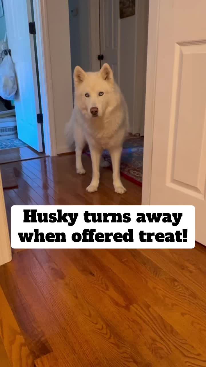 @Tundra