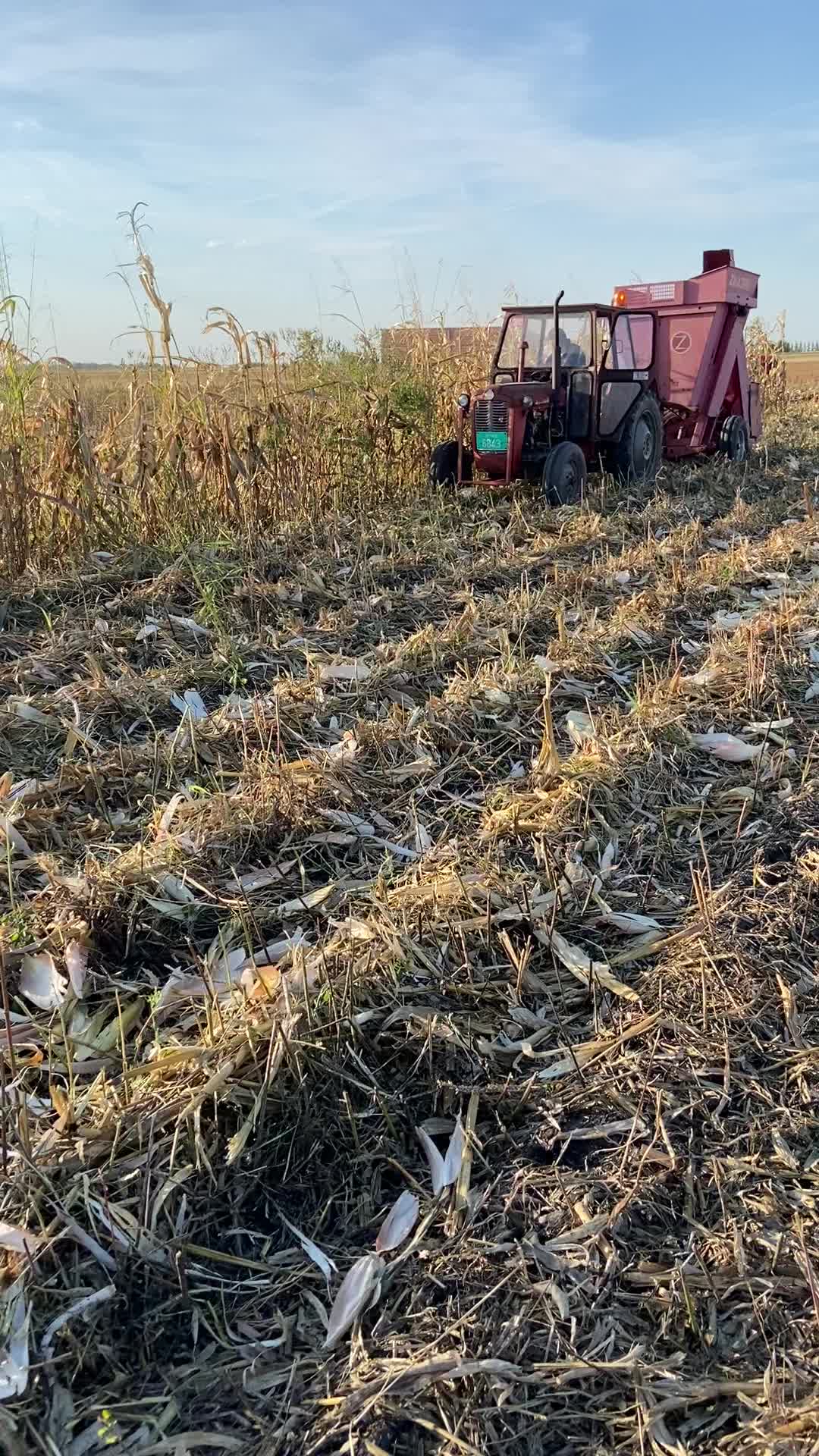 @agrobanat