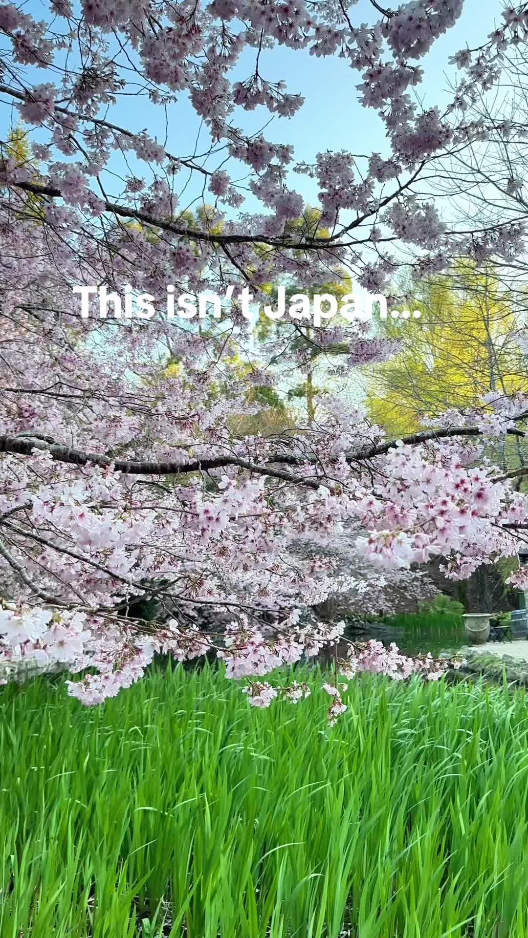 @life_nonlinear
