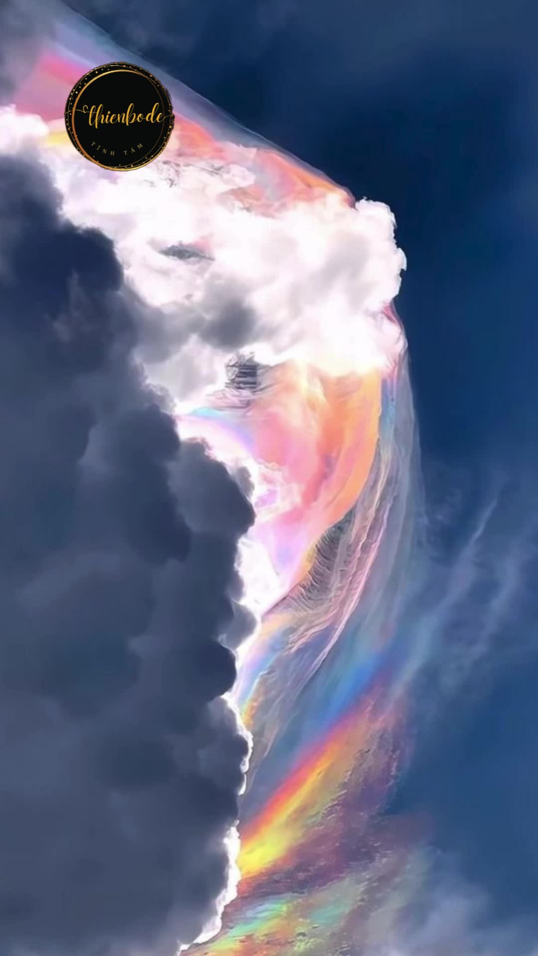 @thienbode