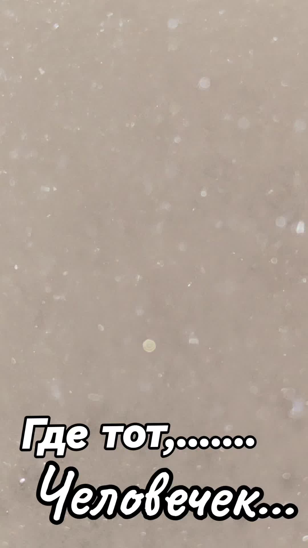 @Сергей