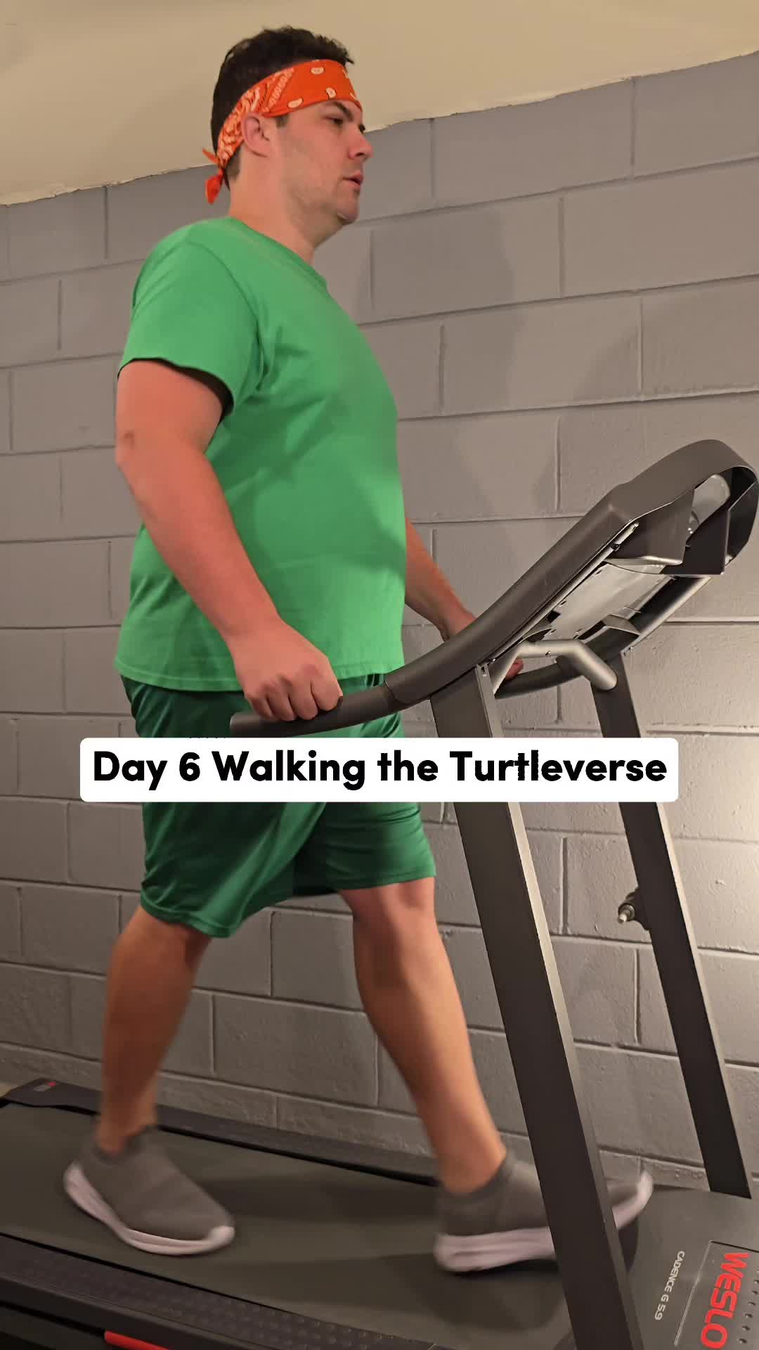 @Walking the Turtleverse