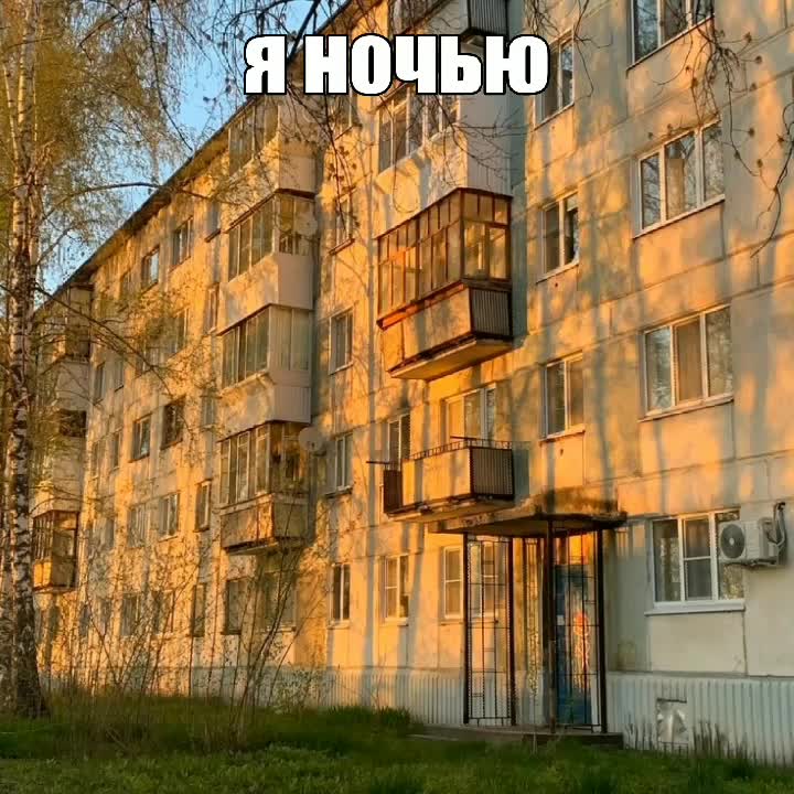 @🕊