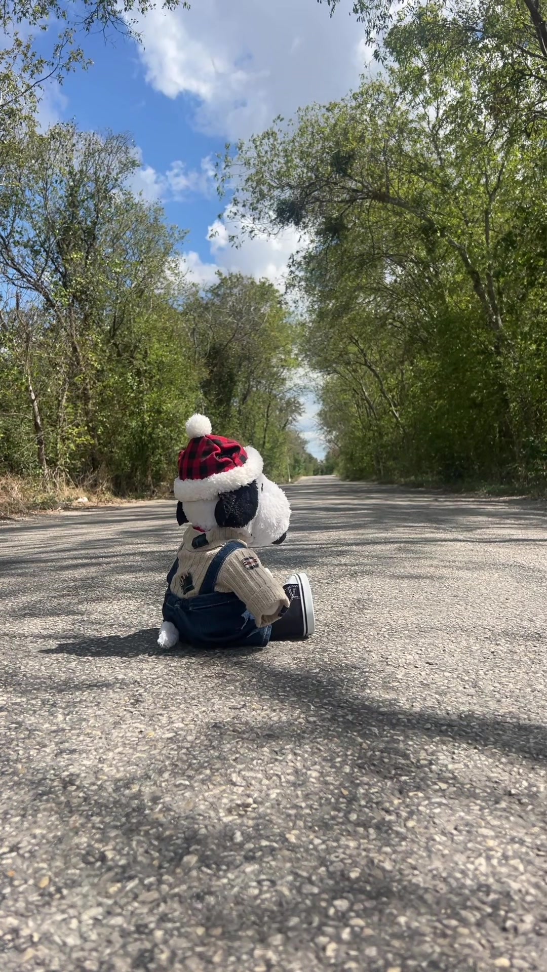 @snoopy