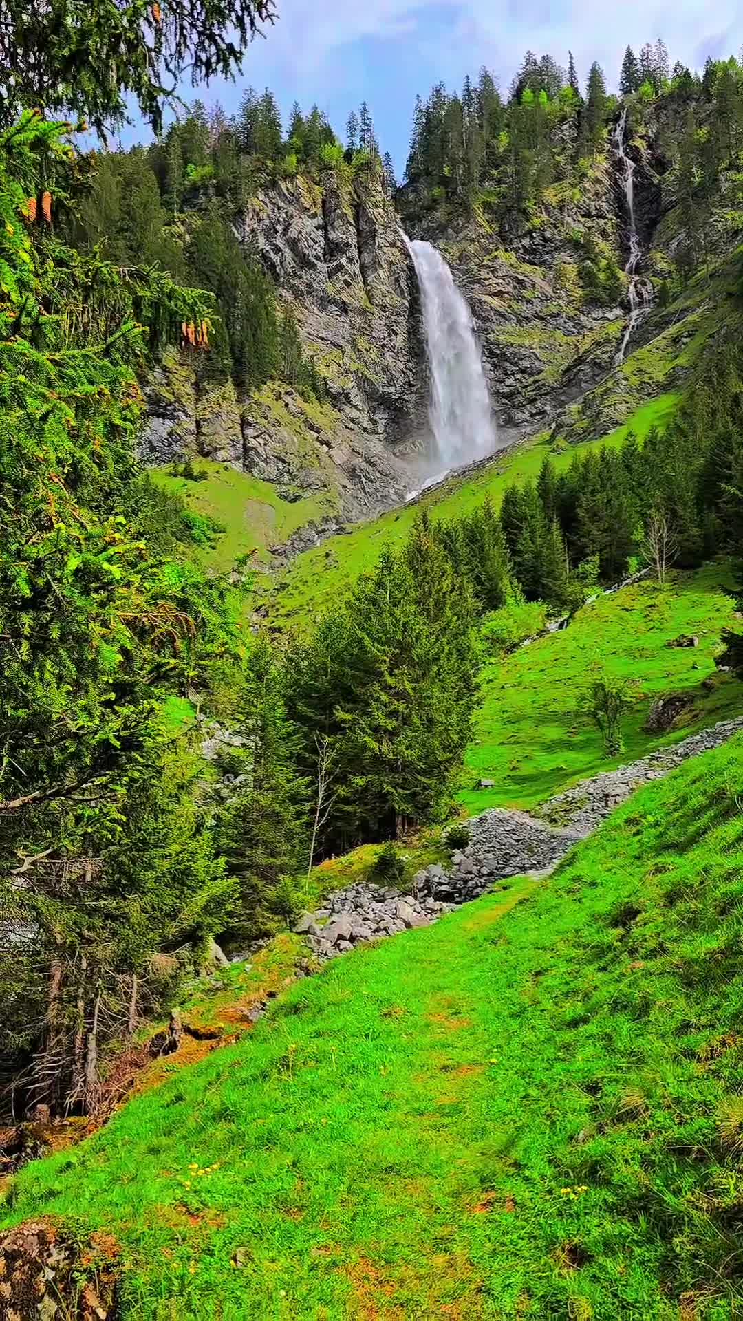 @🇨🇭başkan🇨🇭