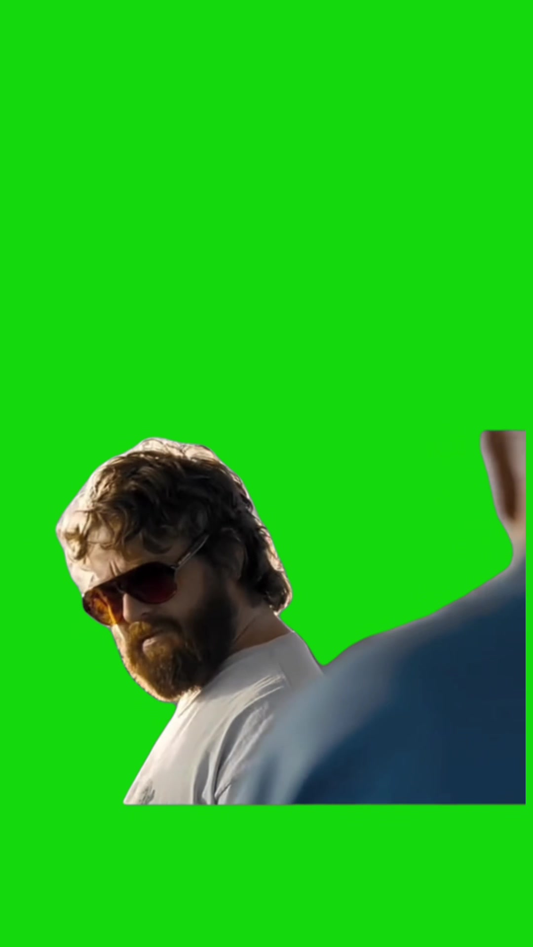 @Viral Green Screen Hub