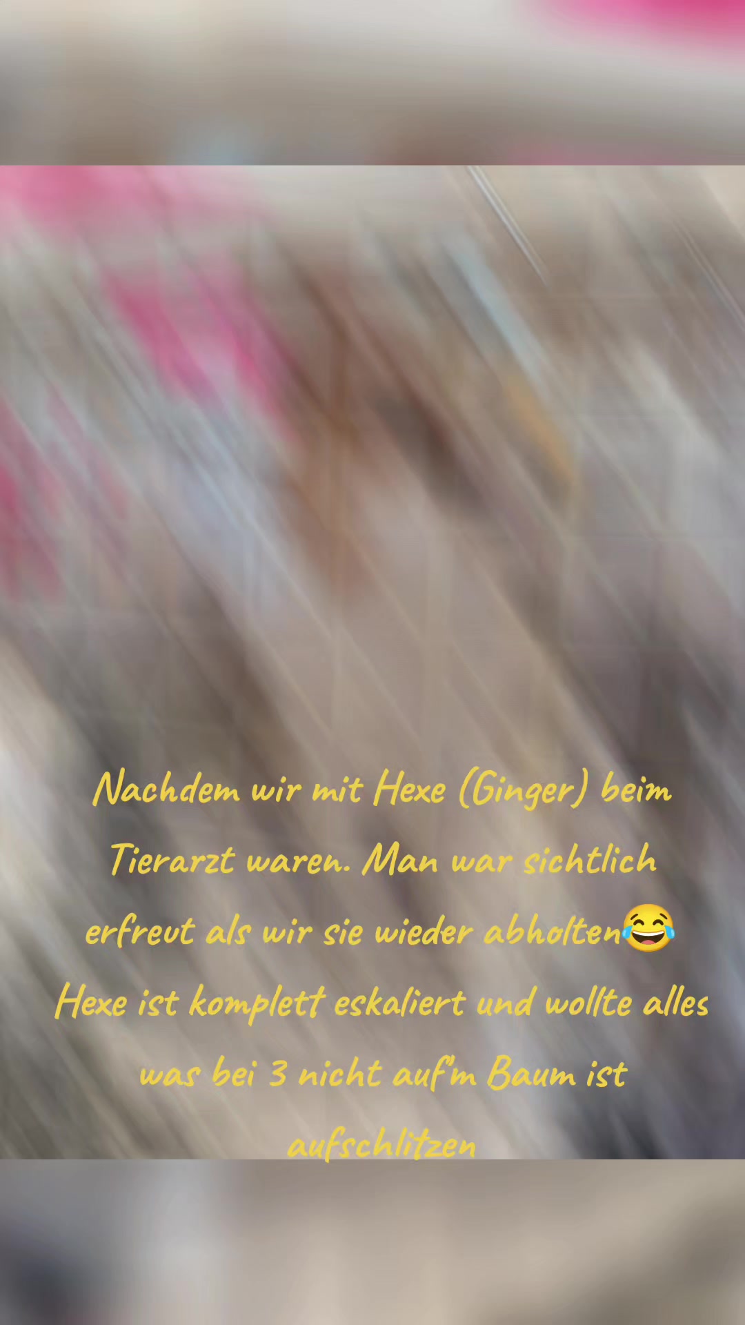@Katrin Feitl