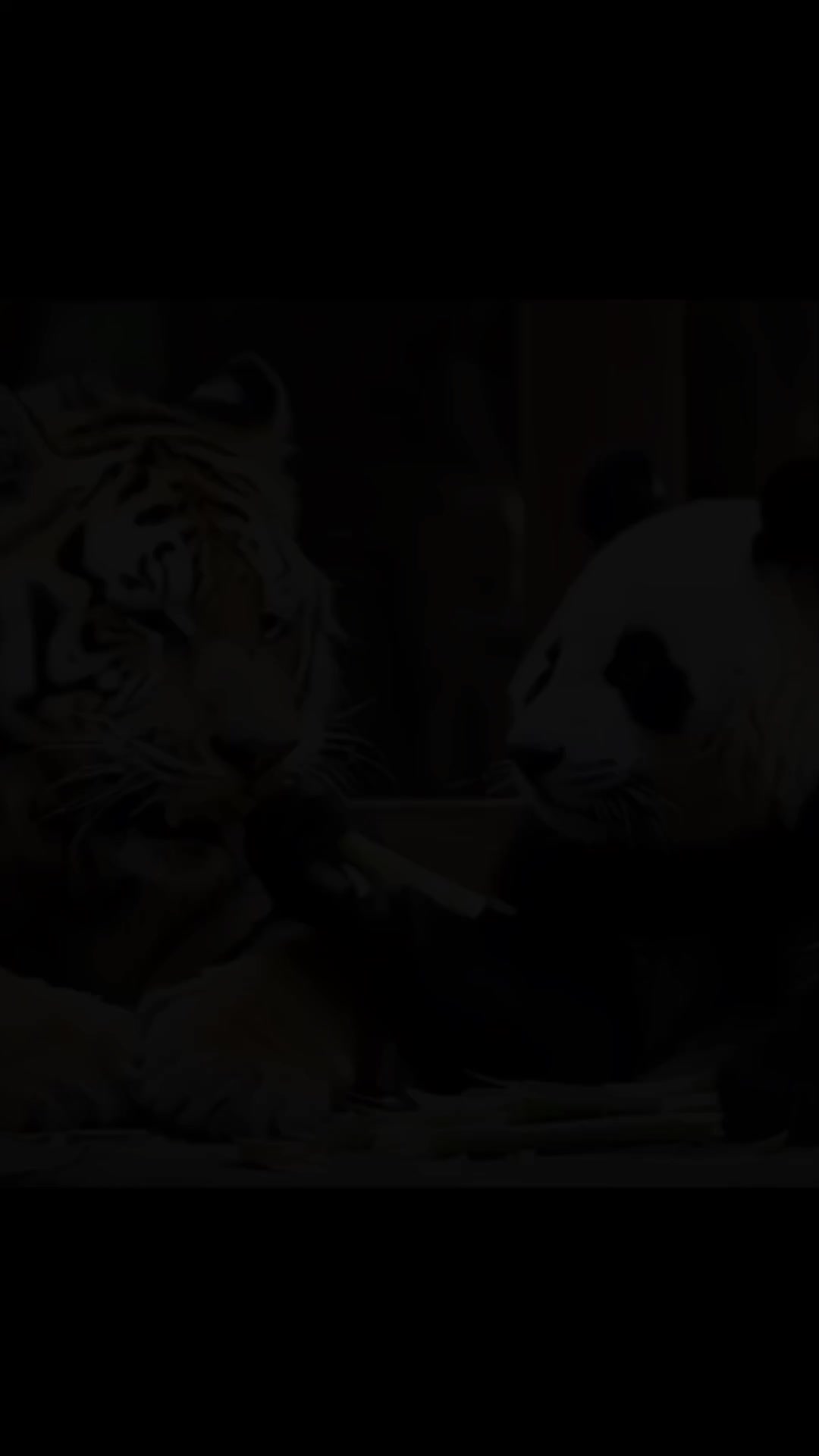 @SHORT VIDEO