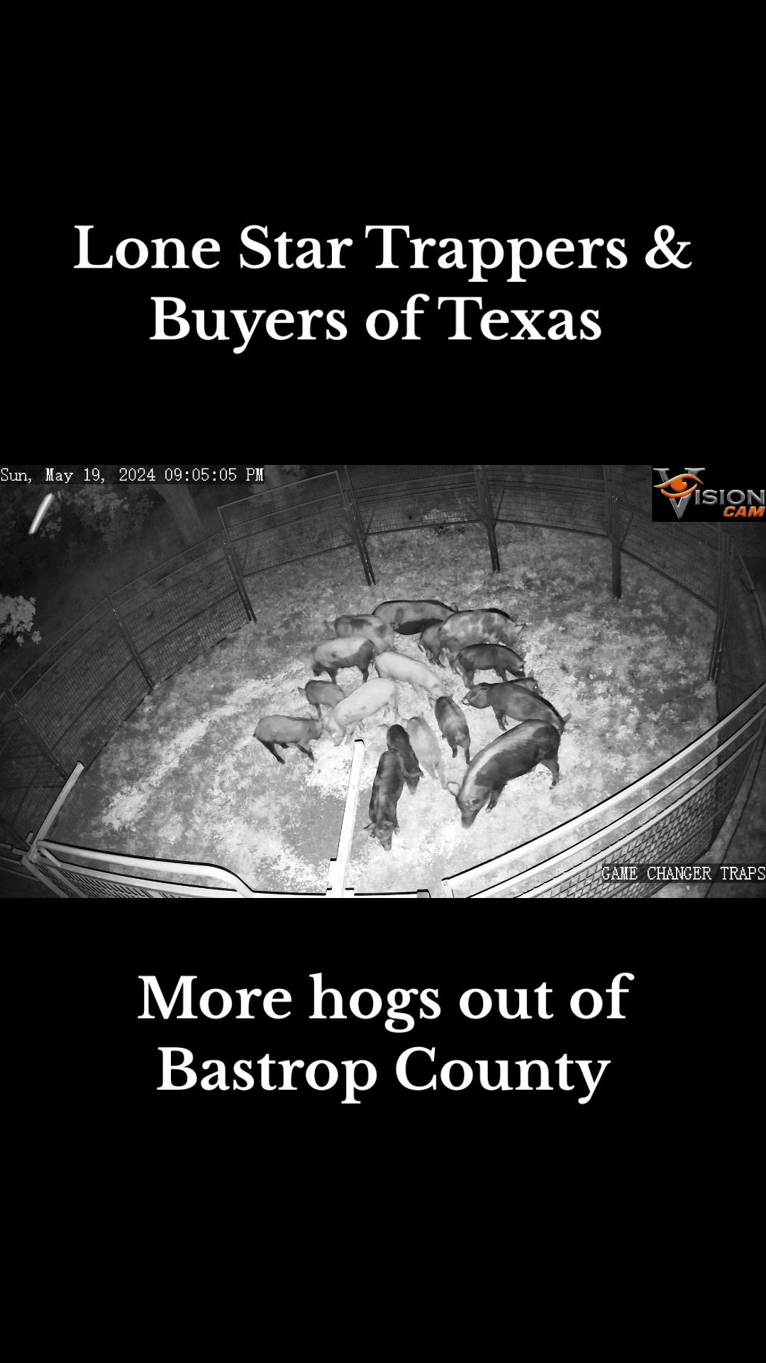 @LoneStarTrappers&Buyers