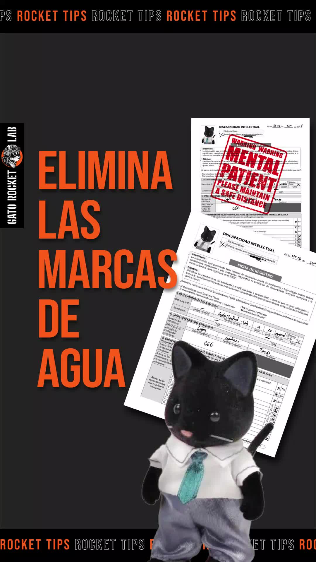 @Gato Rocket - Lab