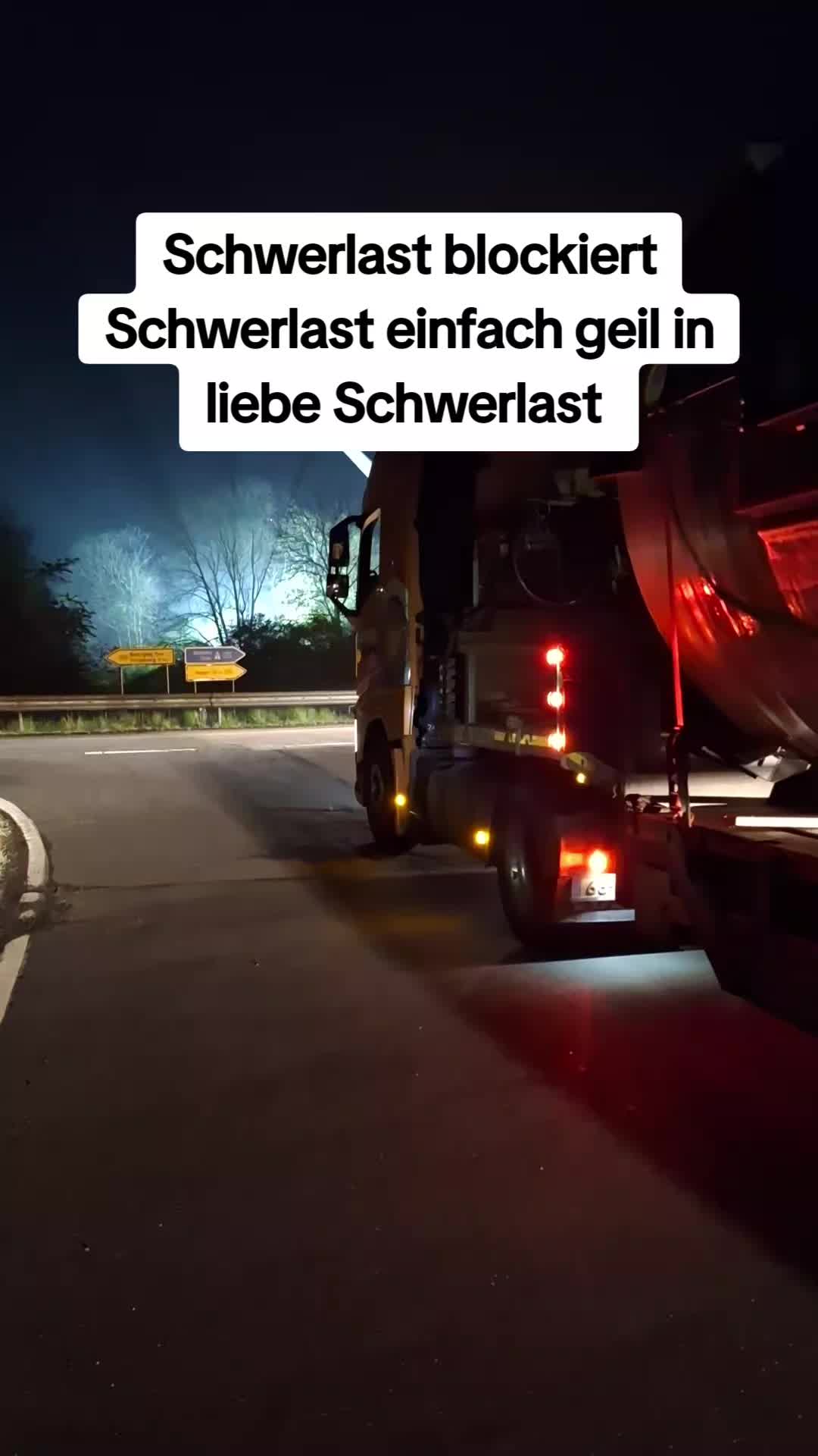 @Henry Team Fledermaus